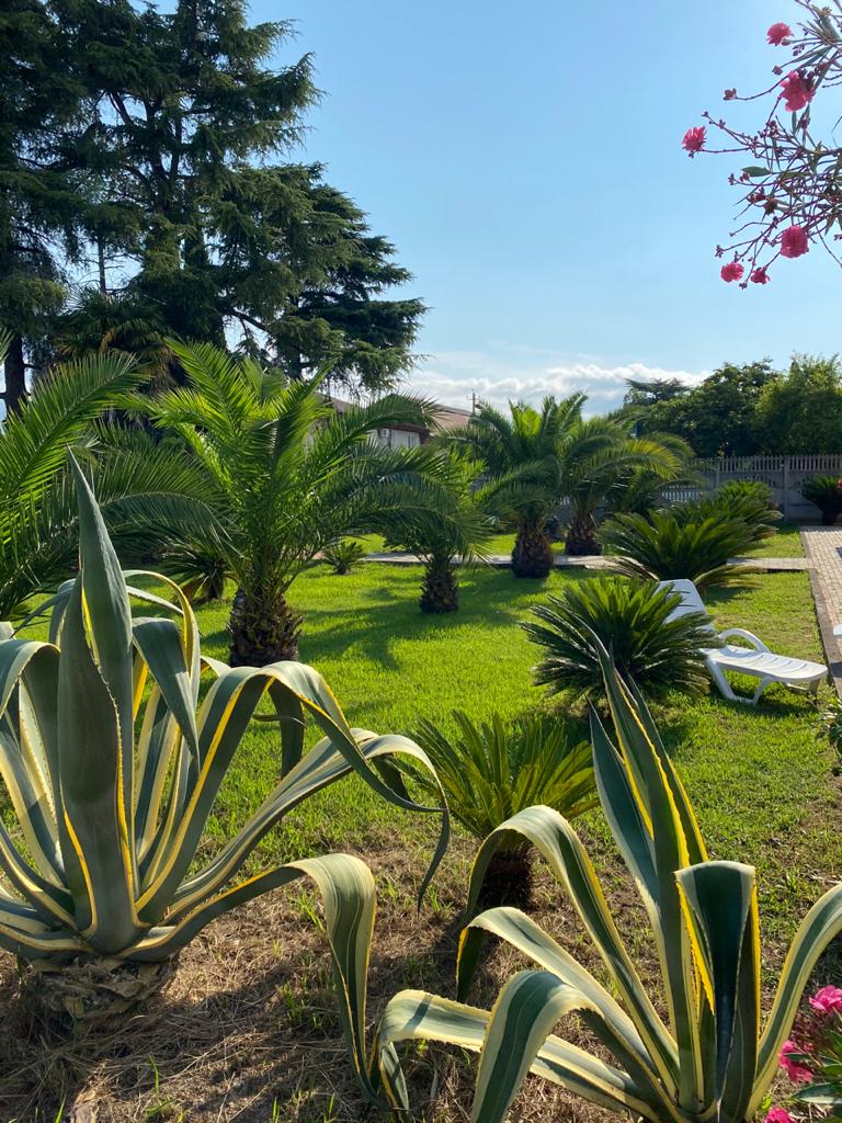 Парк-отель "Галина", Алахадзы — фото 21