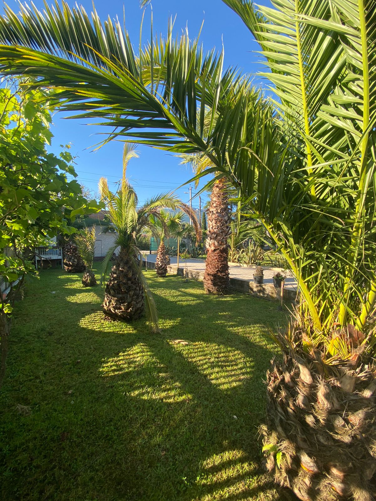 Парк-отель "Галина", Алахадзы — фото 9