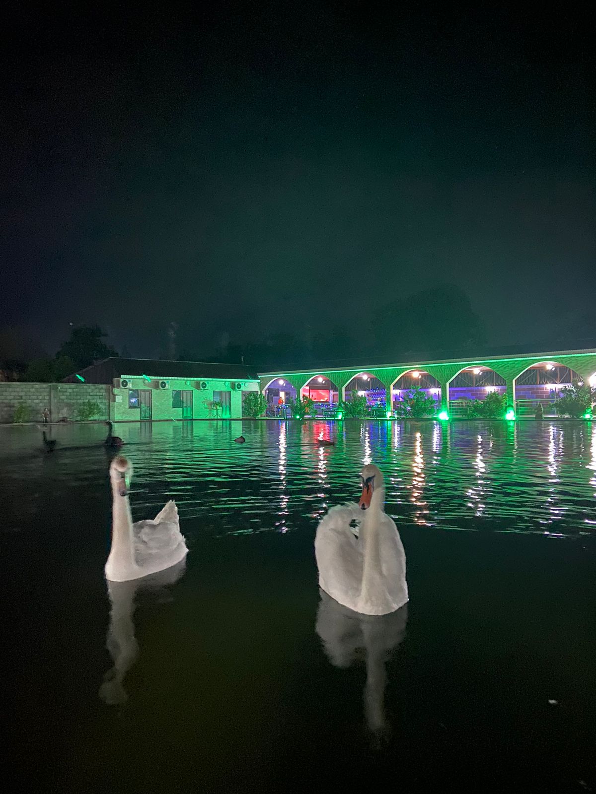 Парк-отель "Галина", Алахадзы — фото 20