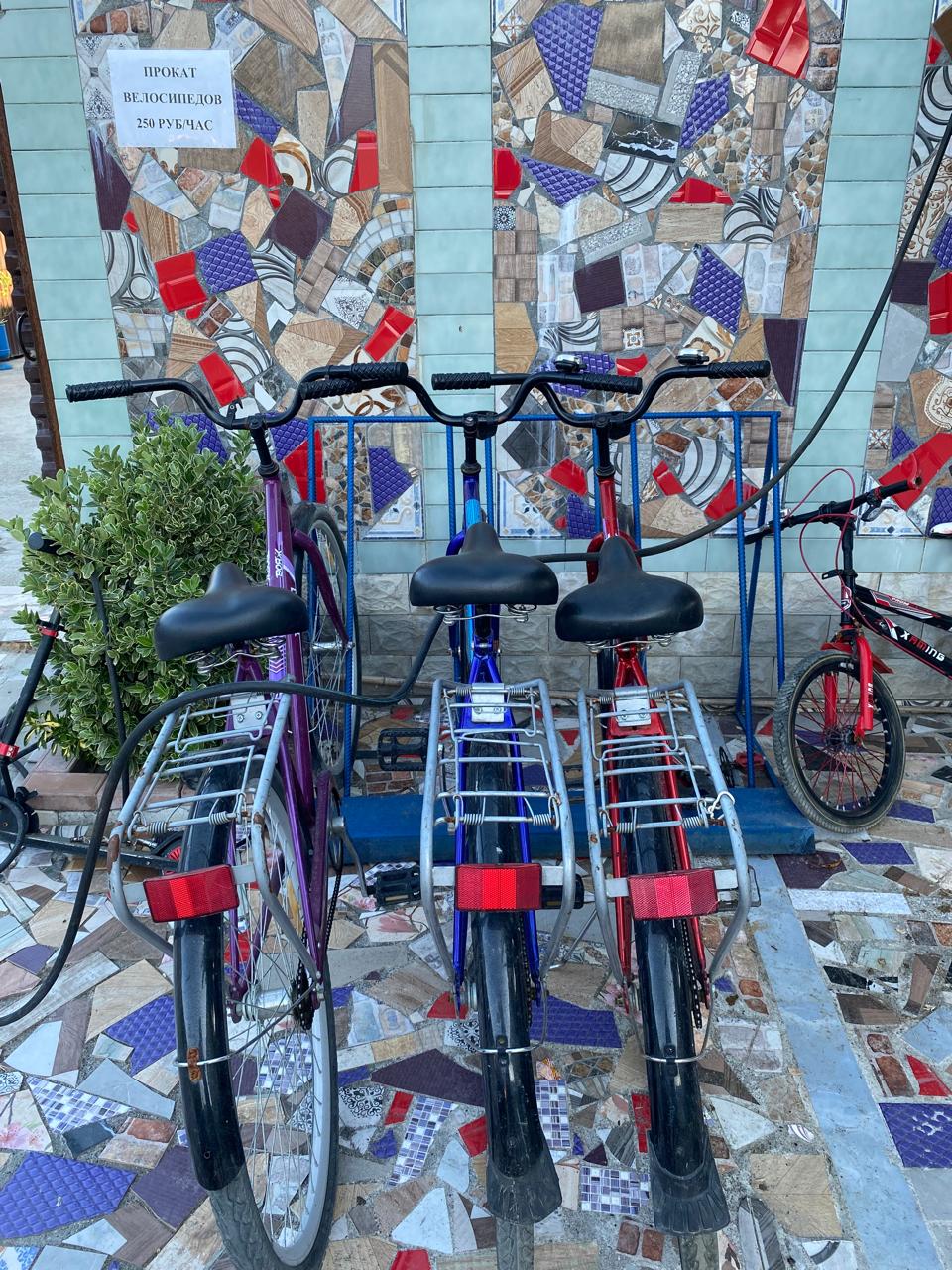 Парк-отель "Галина", Алахадзы — фото 2