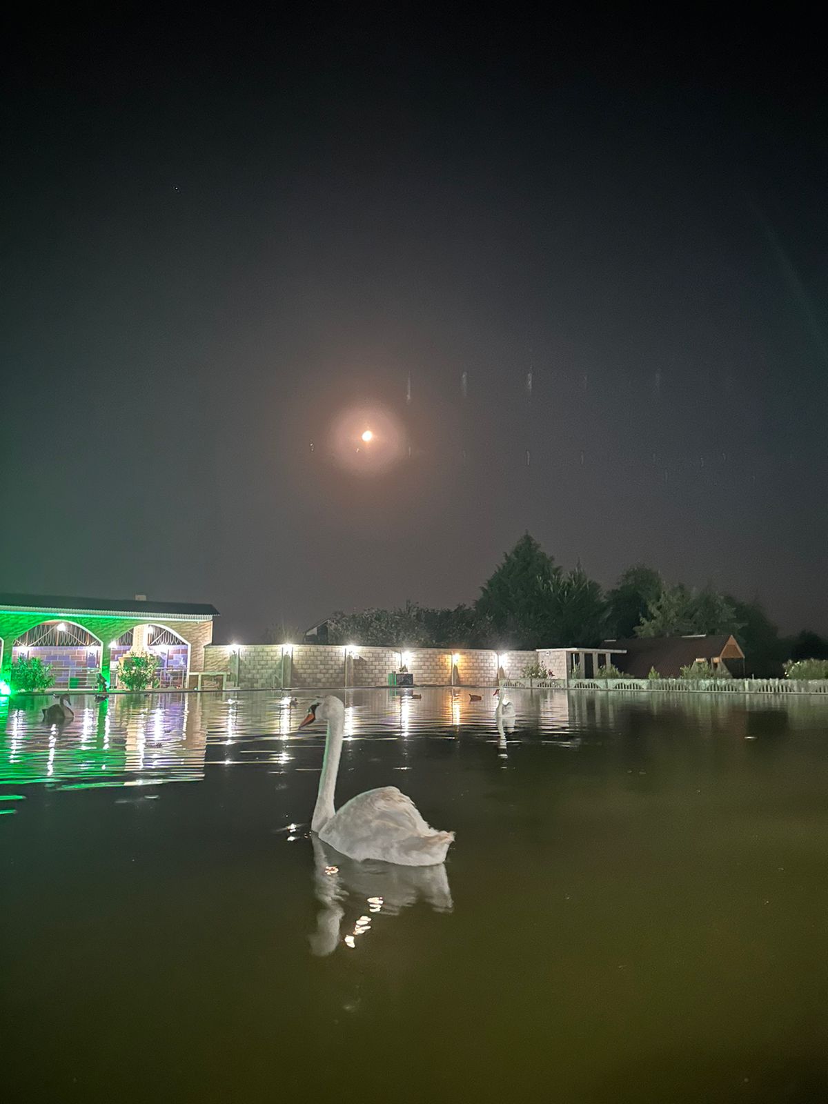 Парк-отель "Галина", Алахадзы — фото 16