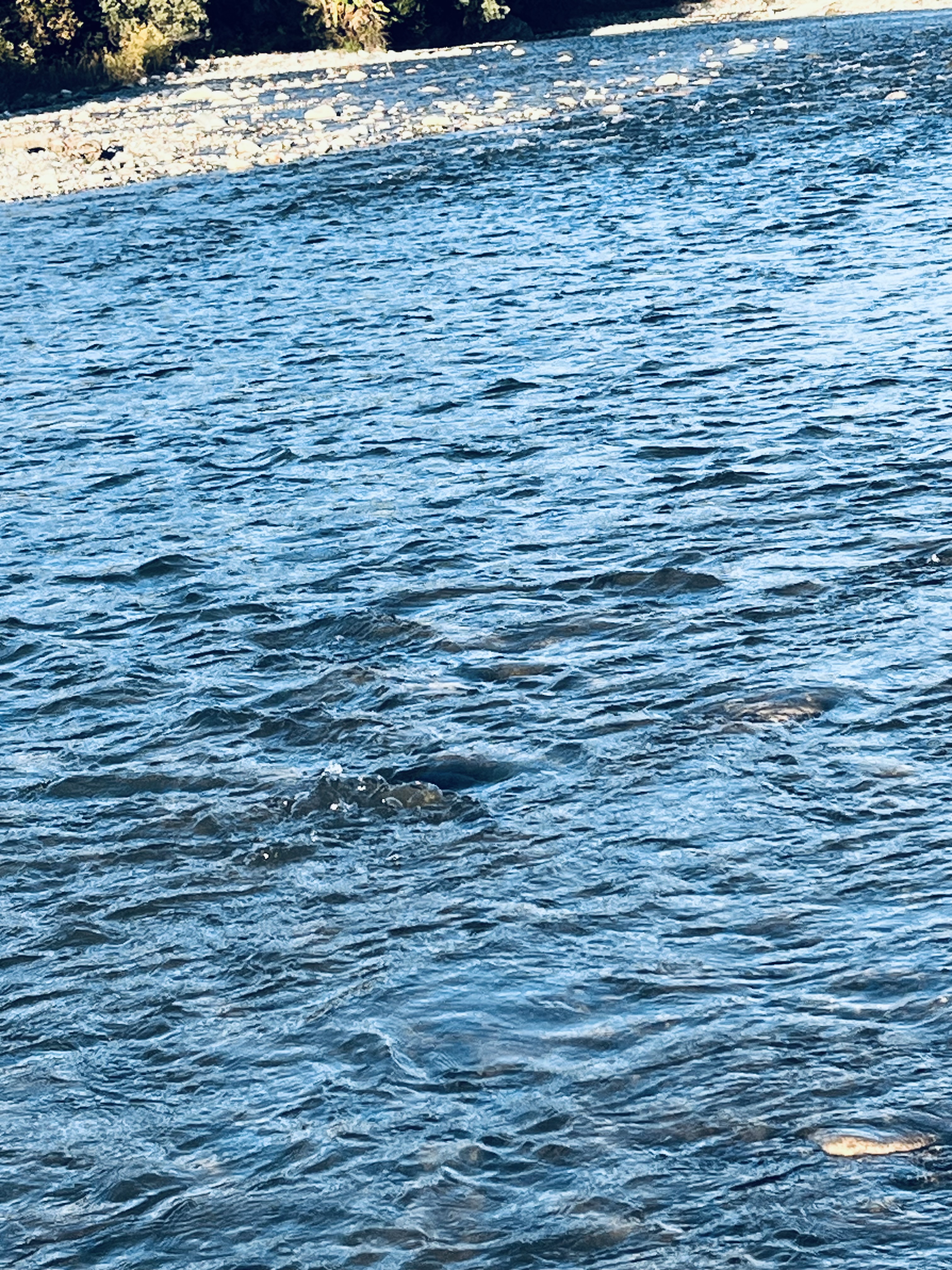 Олимп, Сухум — фото 21