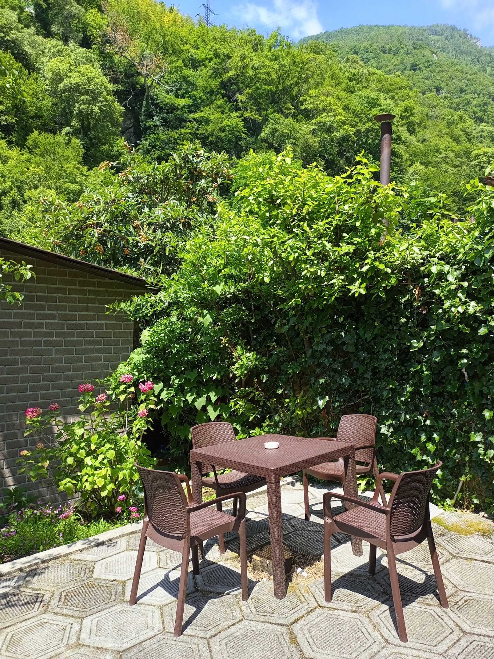 Гостевой дом Цыхерва, Гагра — фото 4