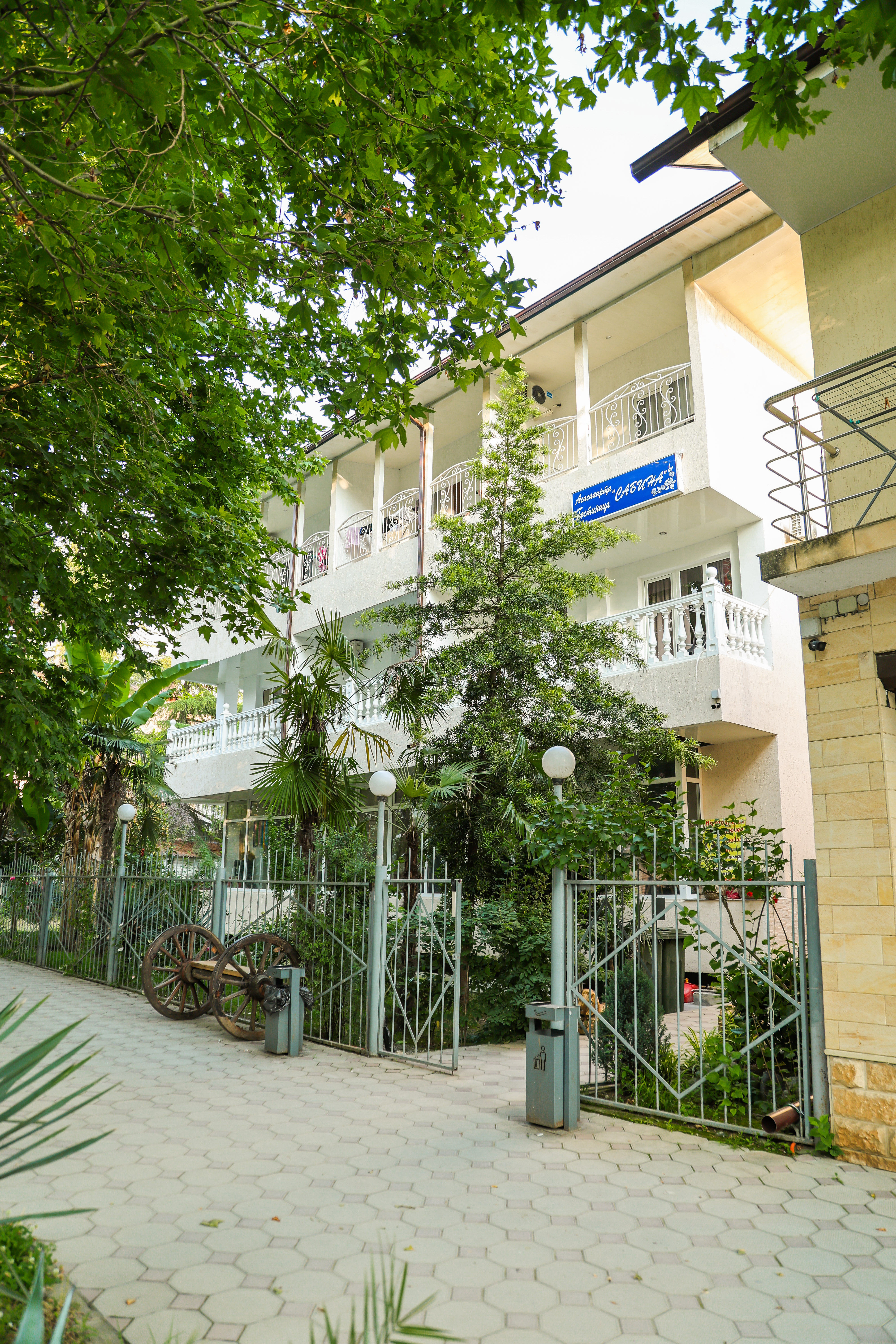 Отель Сабина, Гагра — фото 11