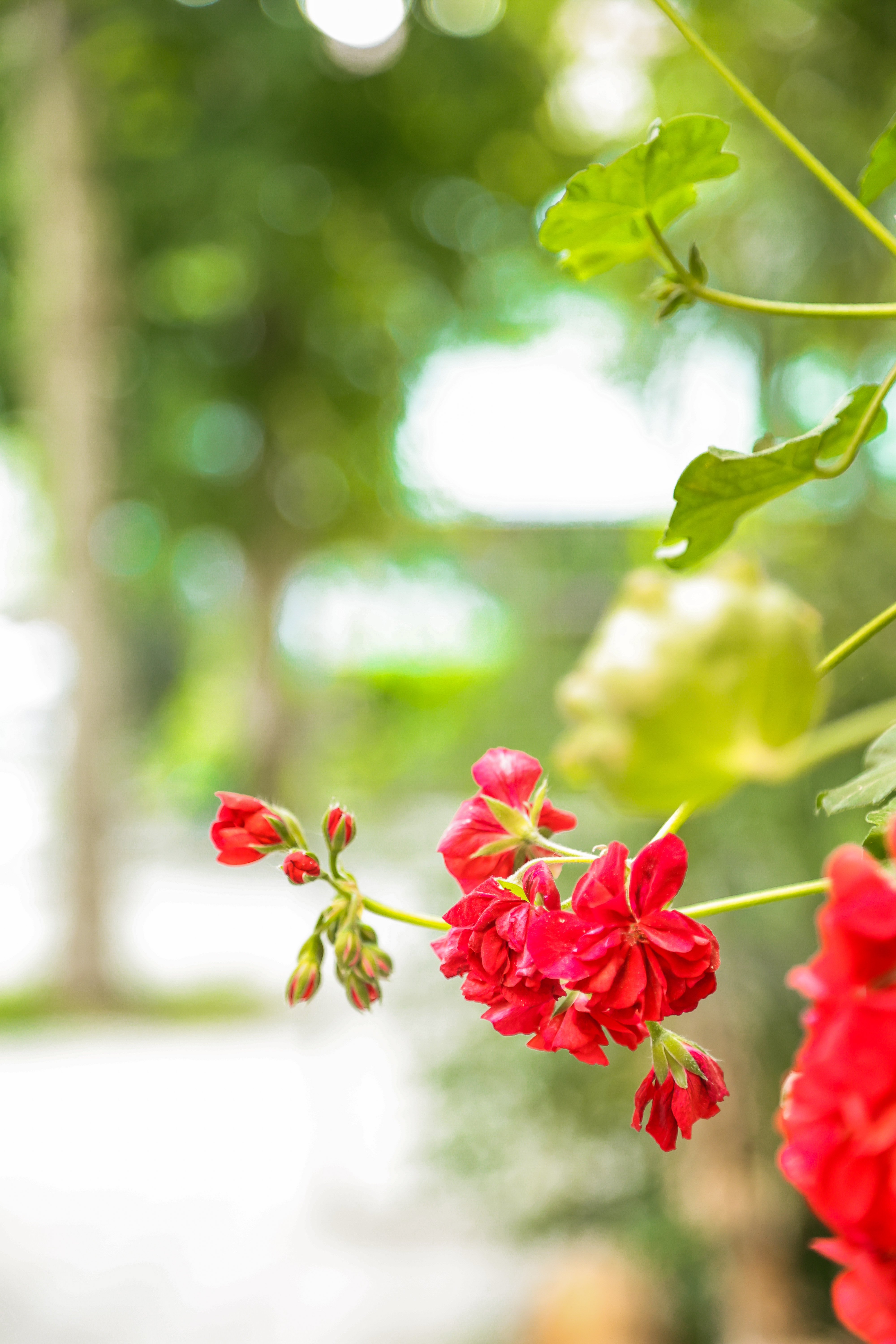 Отель Сабина, Гагра — фото 14