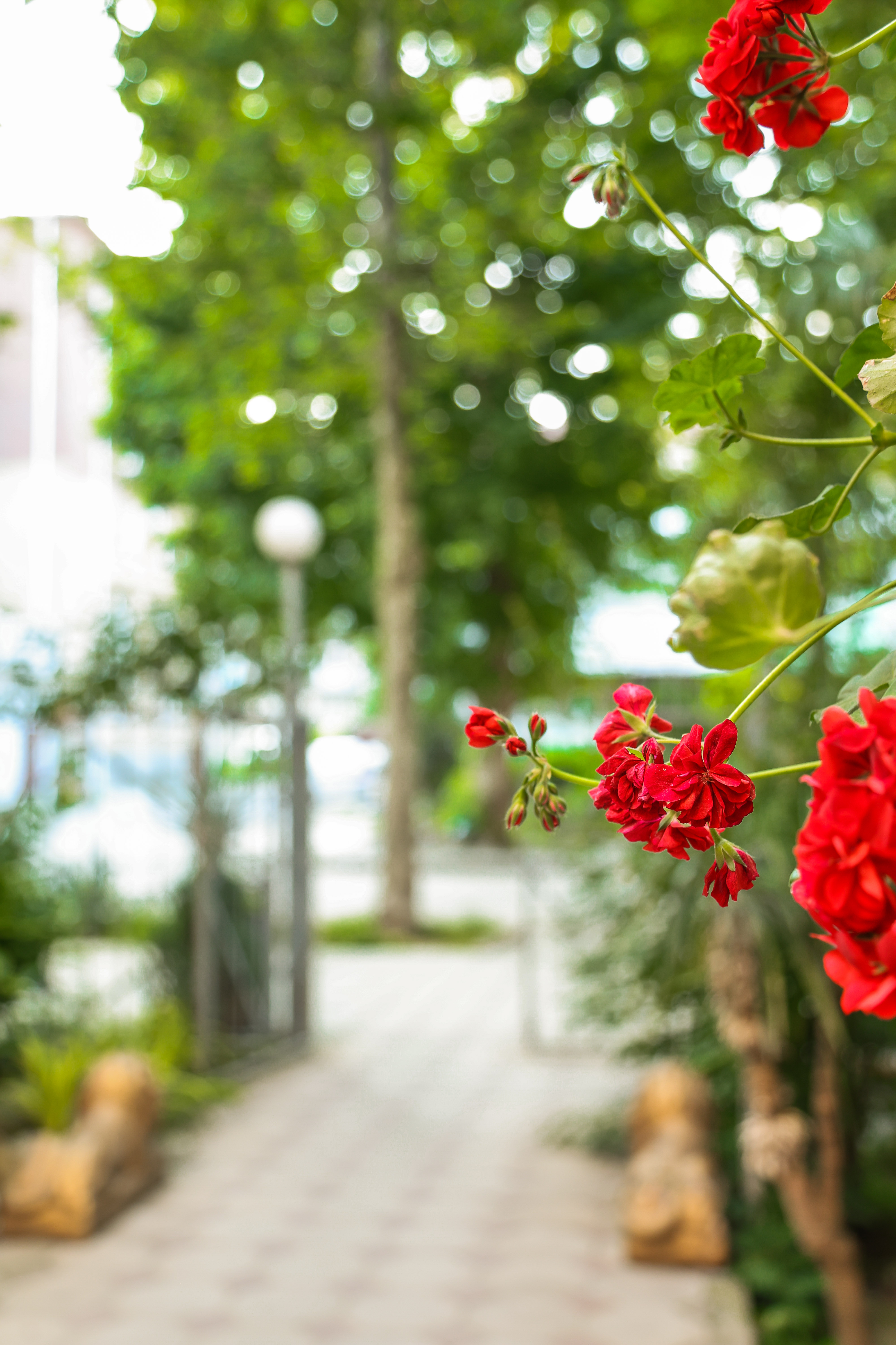 Отель Сабина, Гагра — фото 4