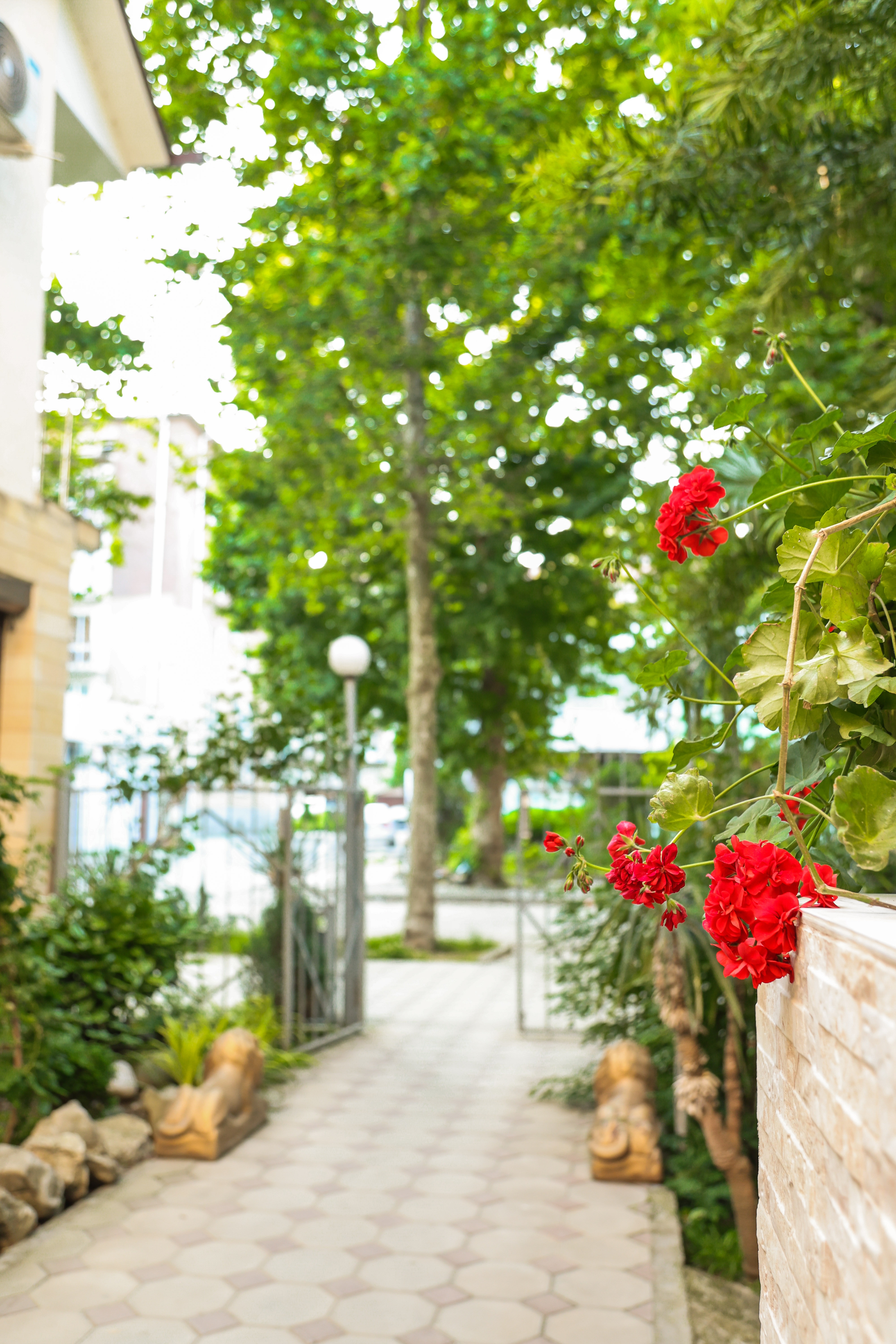 Отель Сабина, Гагра — фото 15