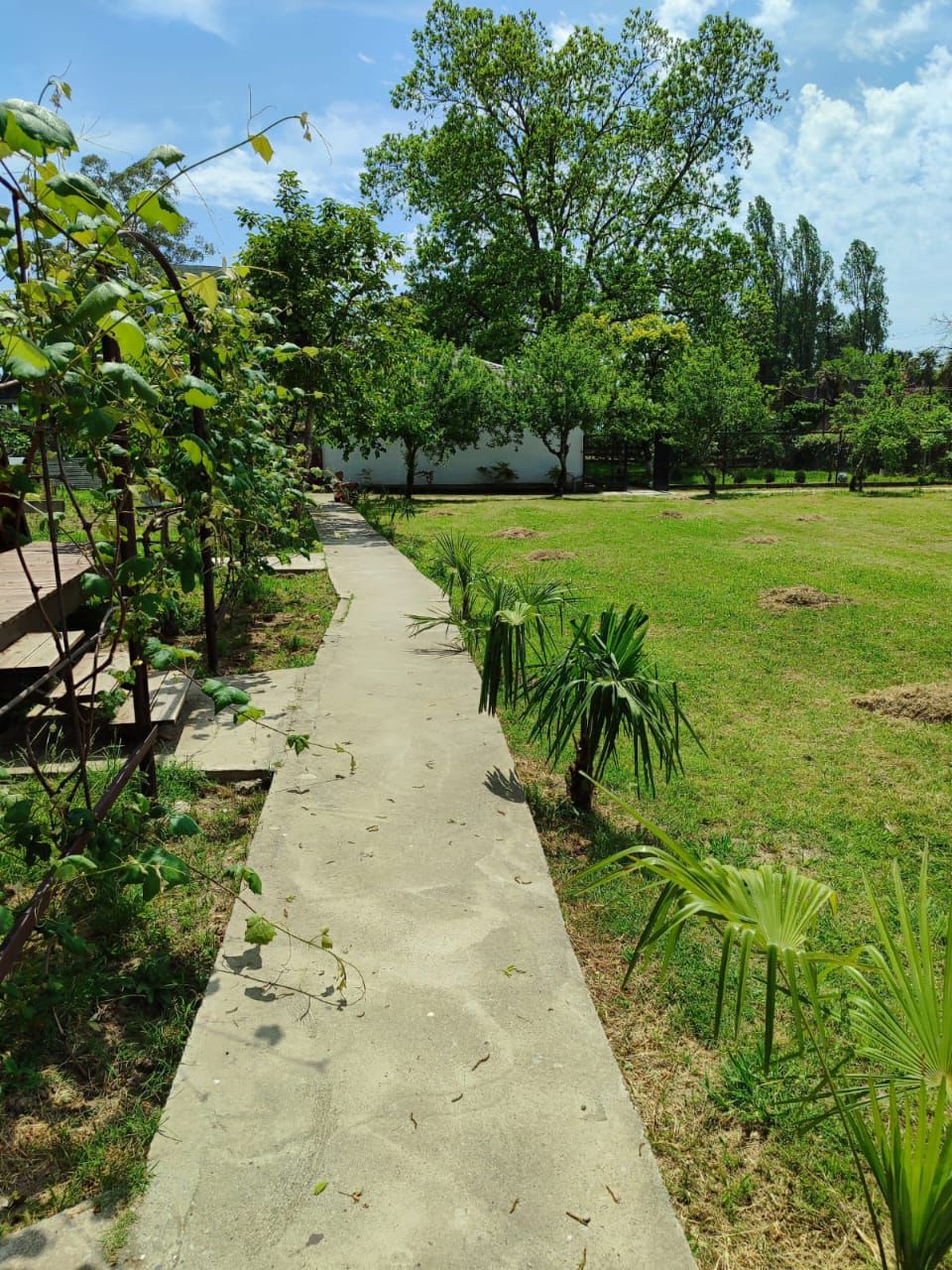 Афрейм, Гулрыпш — фото 3