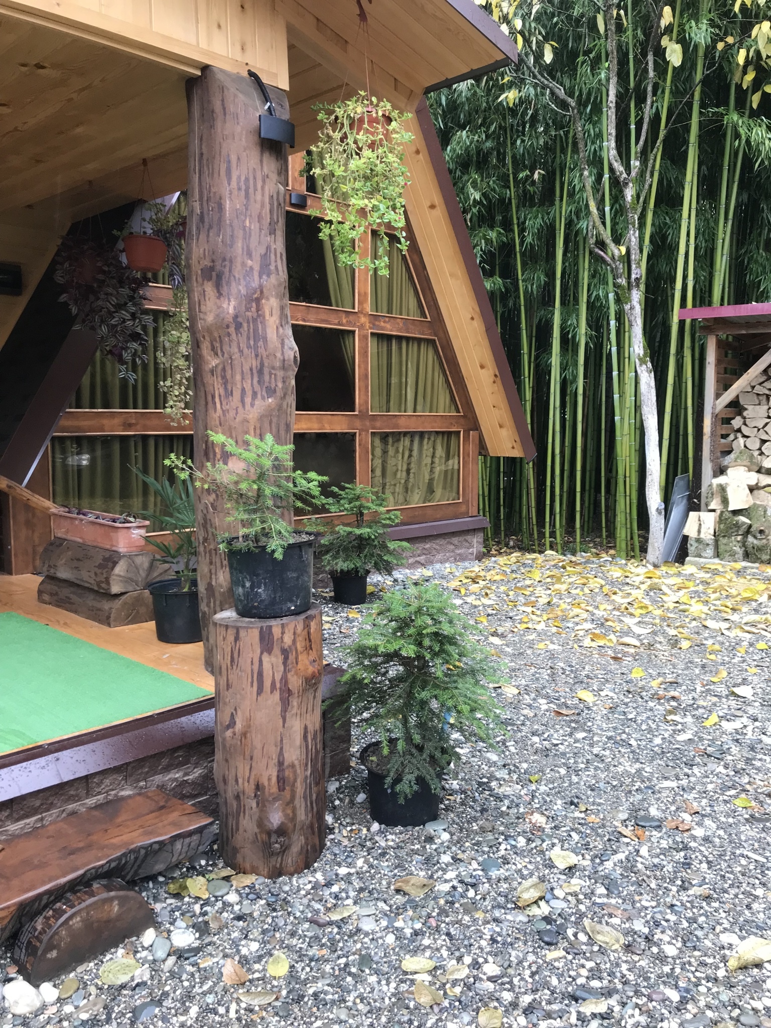 ЭКО-Глэмпинг БУНГАЛО, Гагра — фото 47