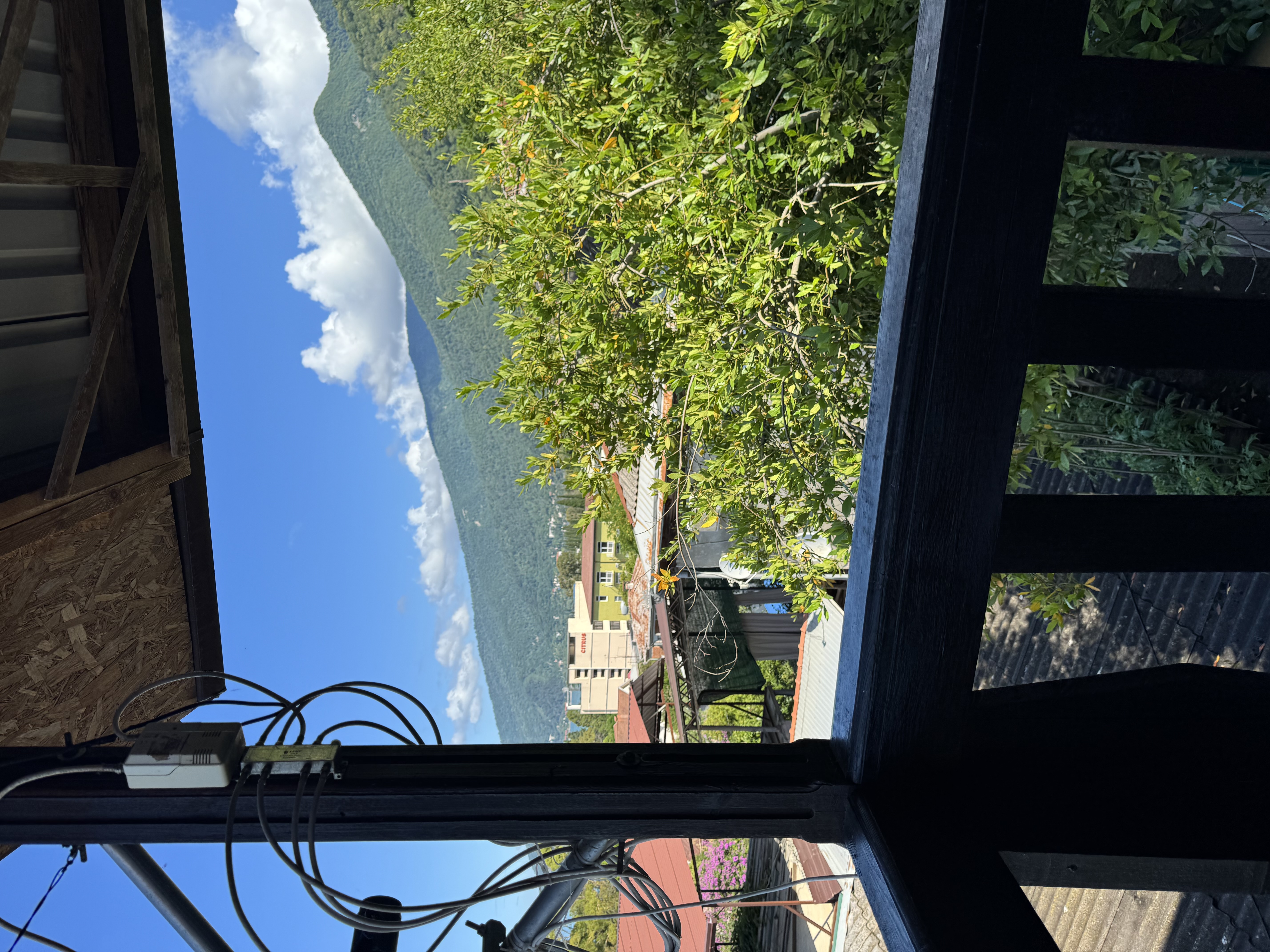 Гостевой дом «Сусанна», Гагра — фото 14