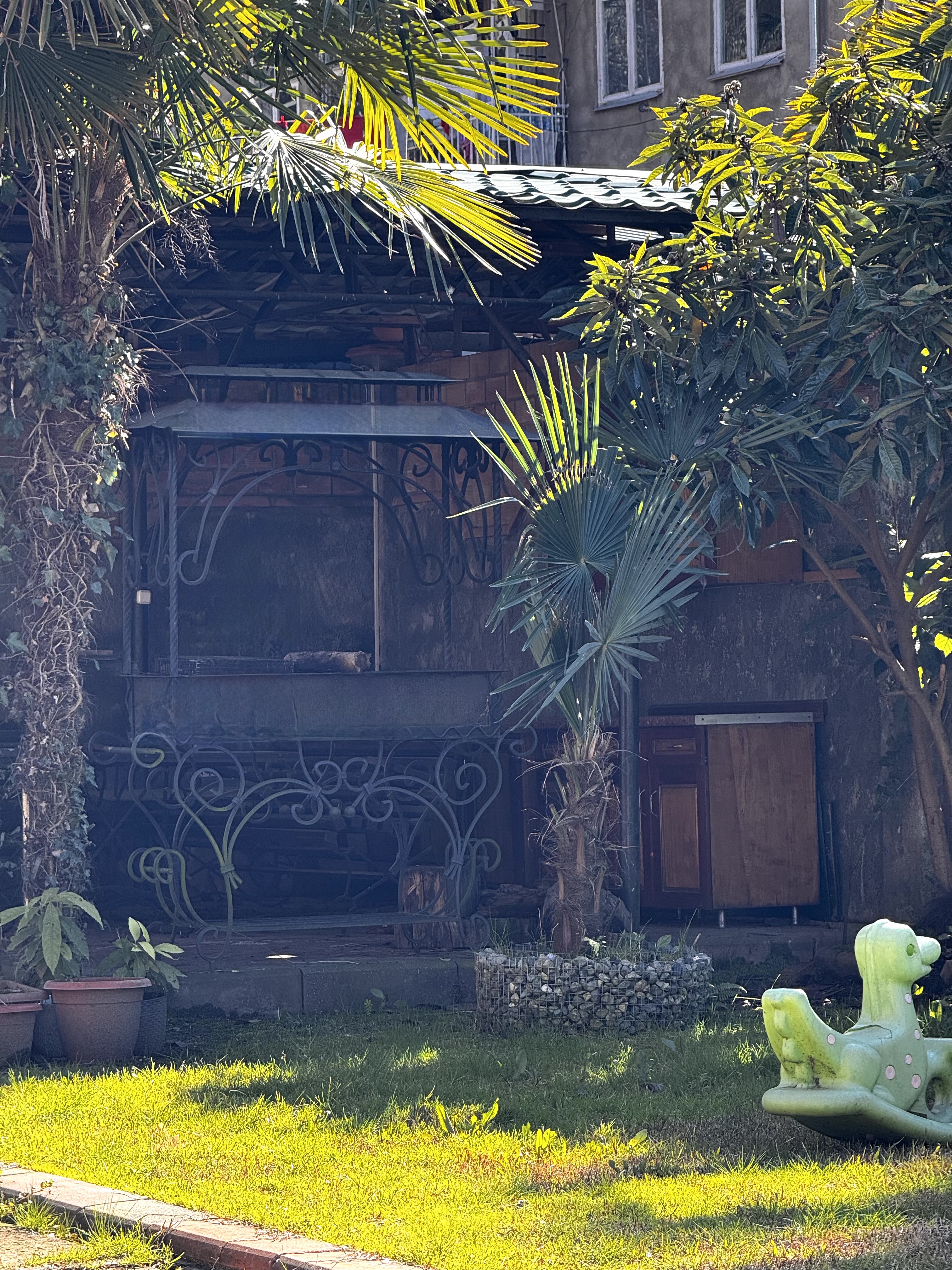 Песчаный берег, Сухум — фото 5