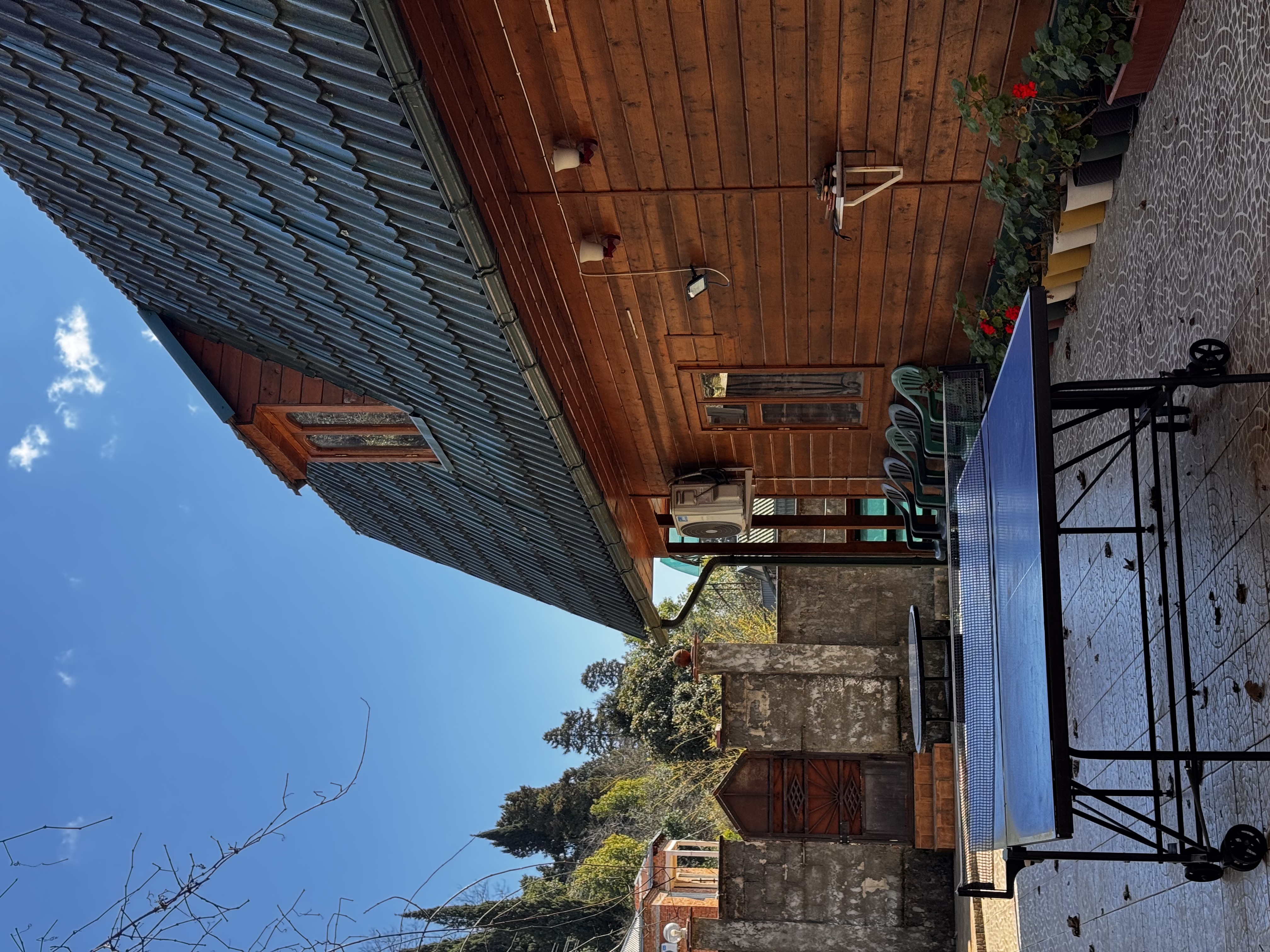 Песчаный берег, Сухум — фото 6