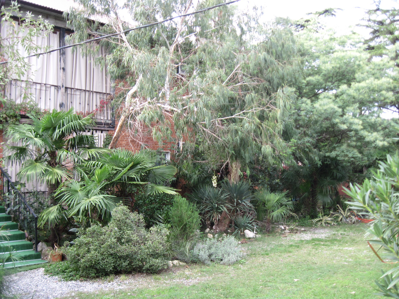 Гостевой Дом Инкит, Пицунда — фото 4