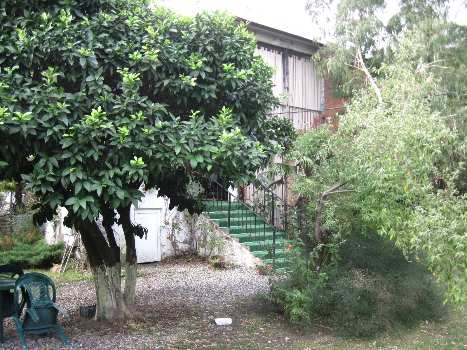 Гостевой Дом Инкит, Пицунда — фото 4