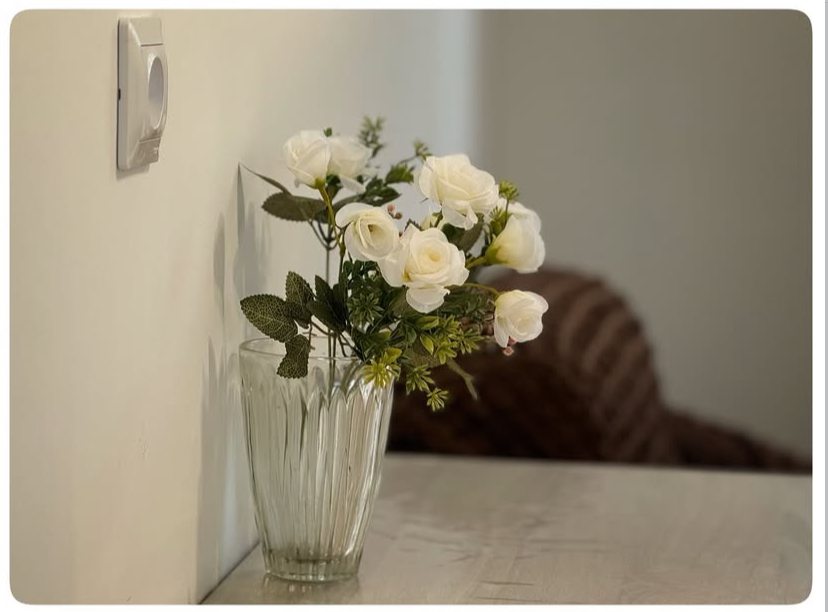 Hotel Damir, Гячрипш — фото 19