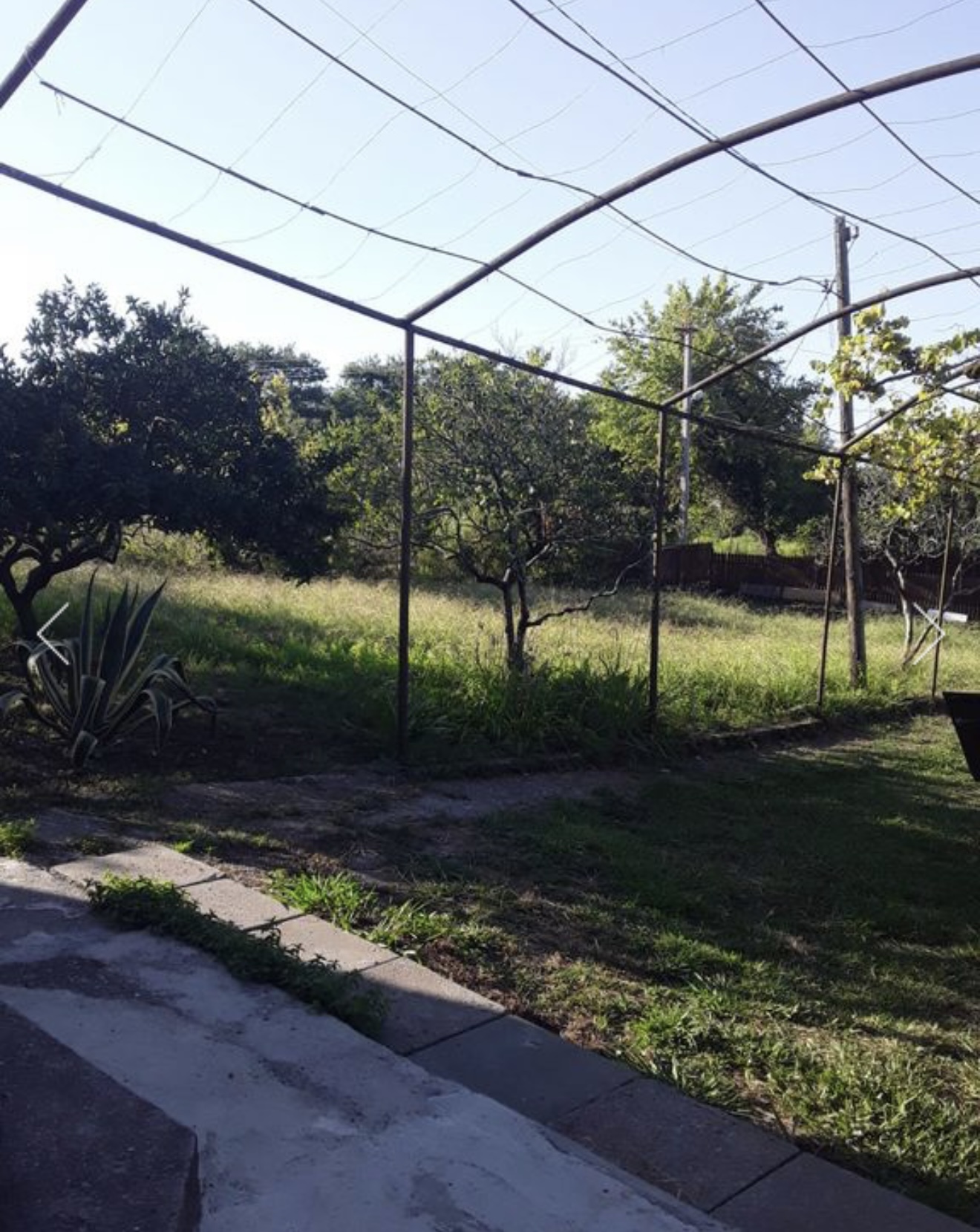 Эшера, Эшера — фото 11