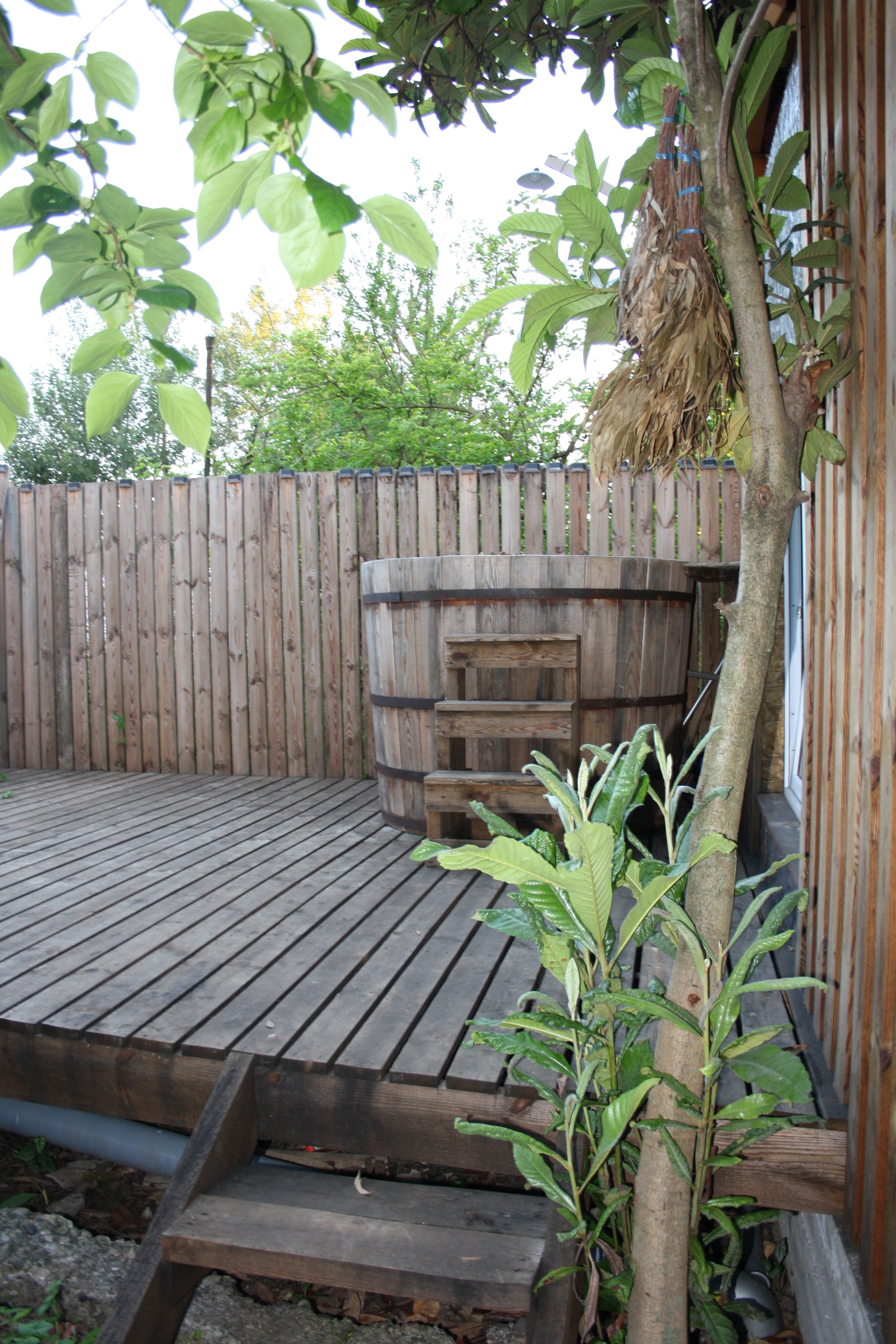 Psahara village, домик в деревне., Гагра — фото 5