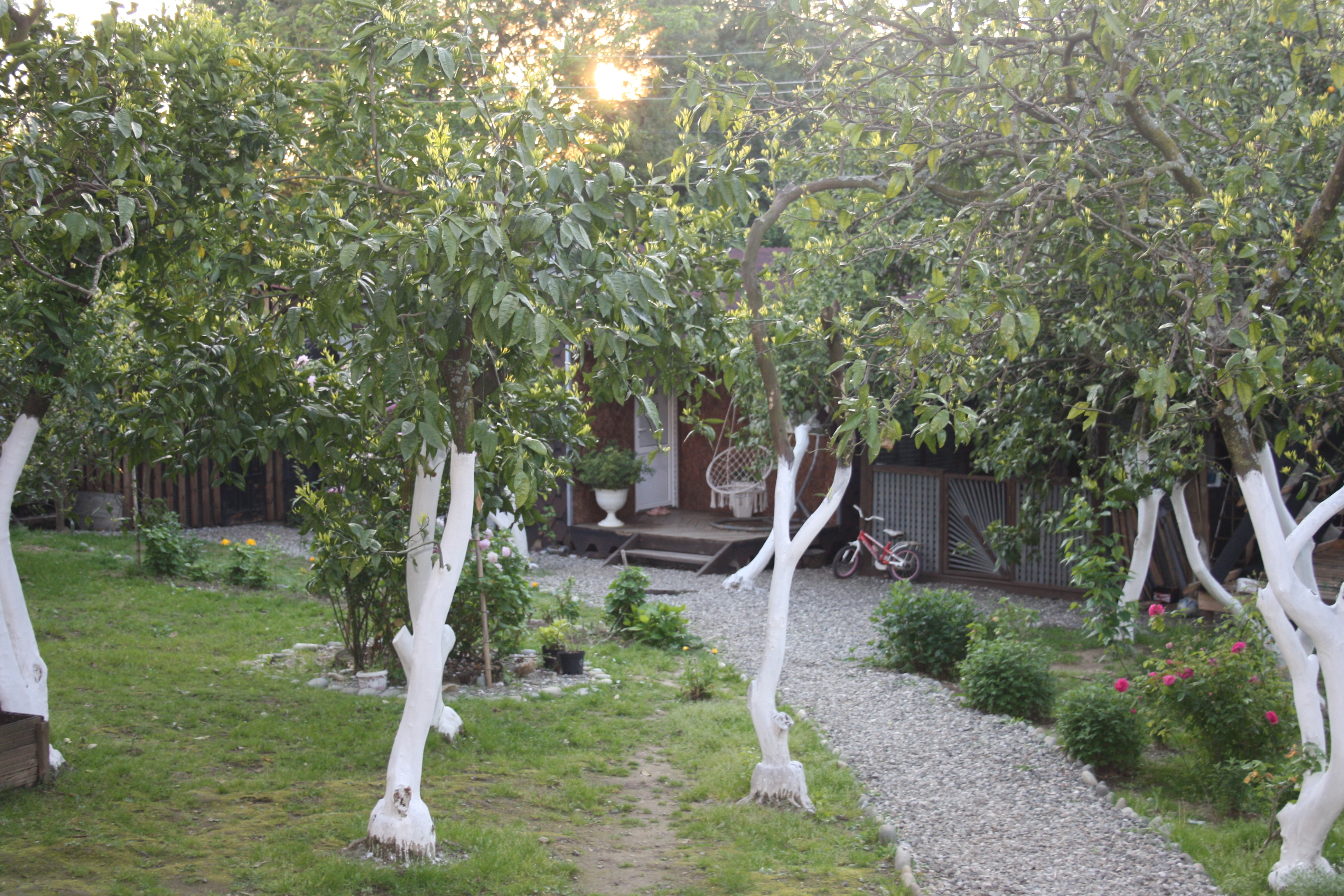 Psahara village, домик в деревне., Гагра — фото 7