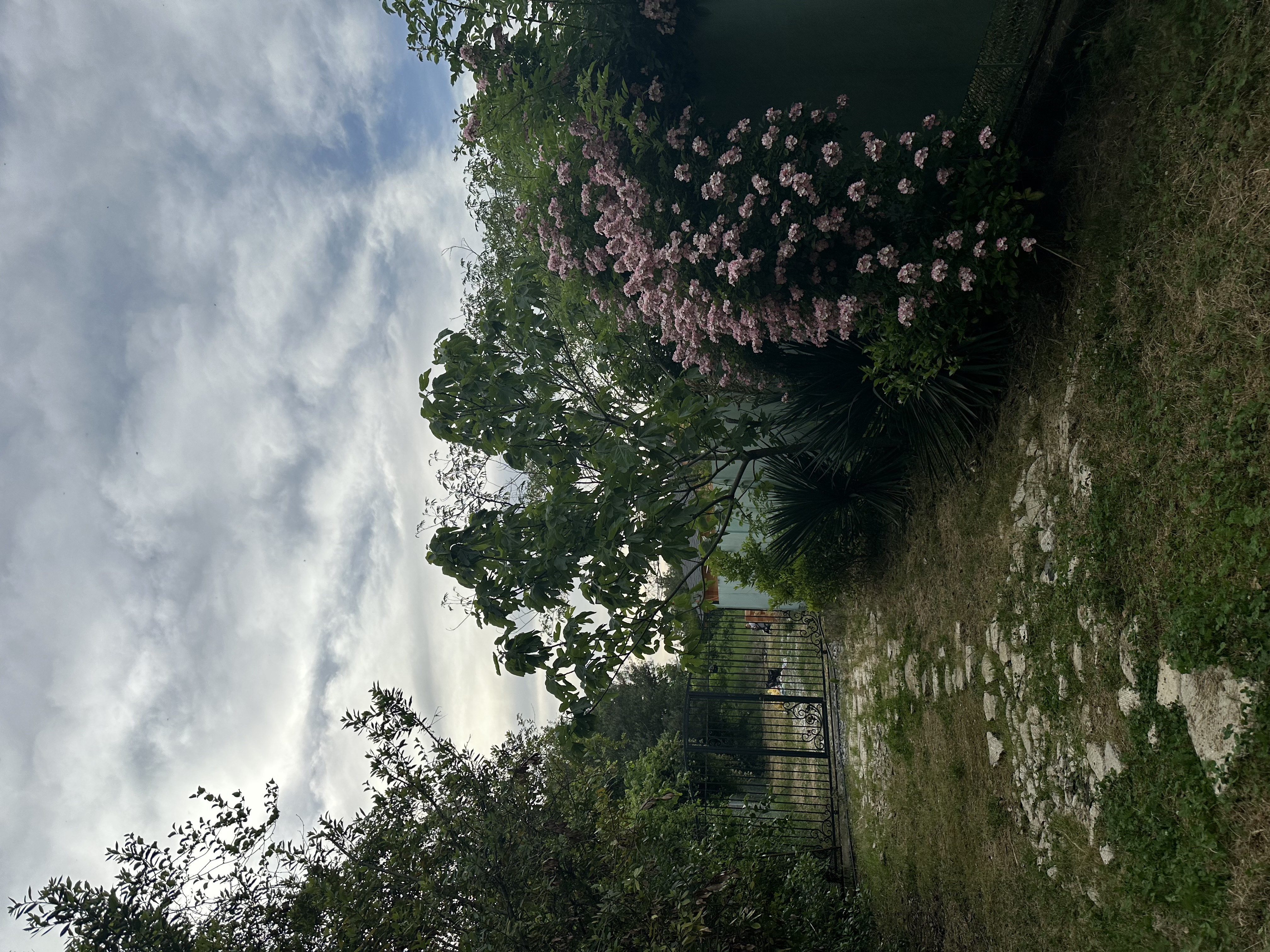 Гостевые домики АЛИША, Цандрипш — фото 17