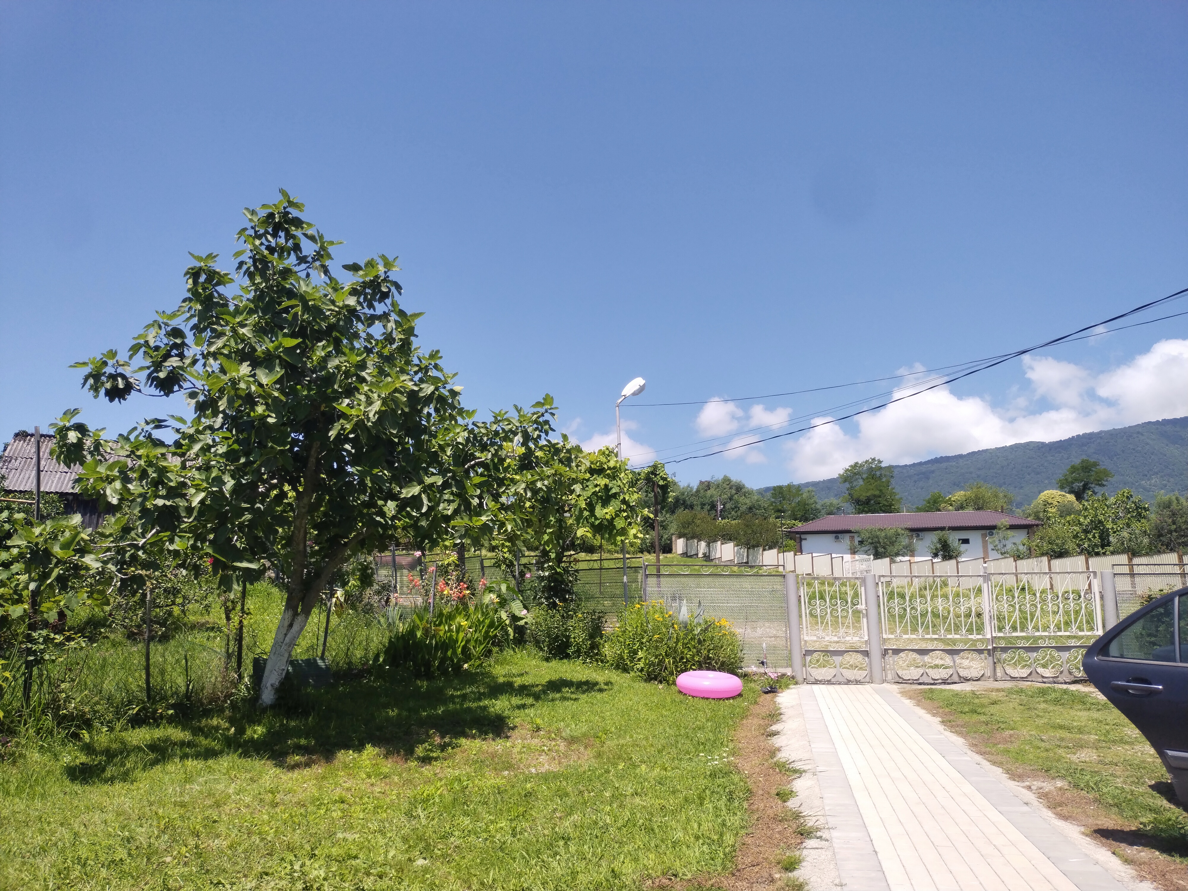 Цитрус 21, Новый афон — фото 2