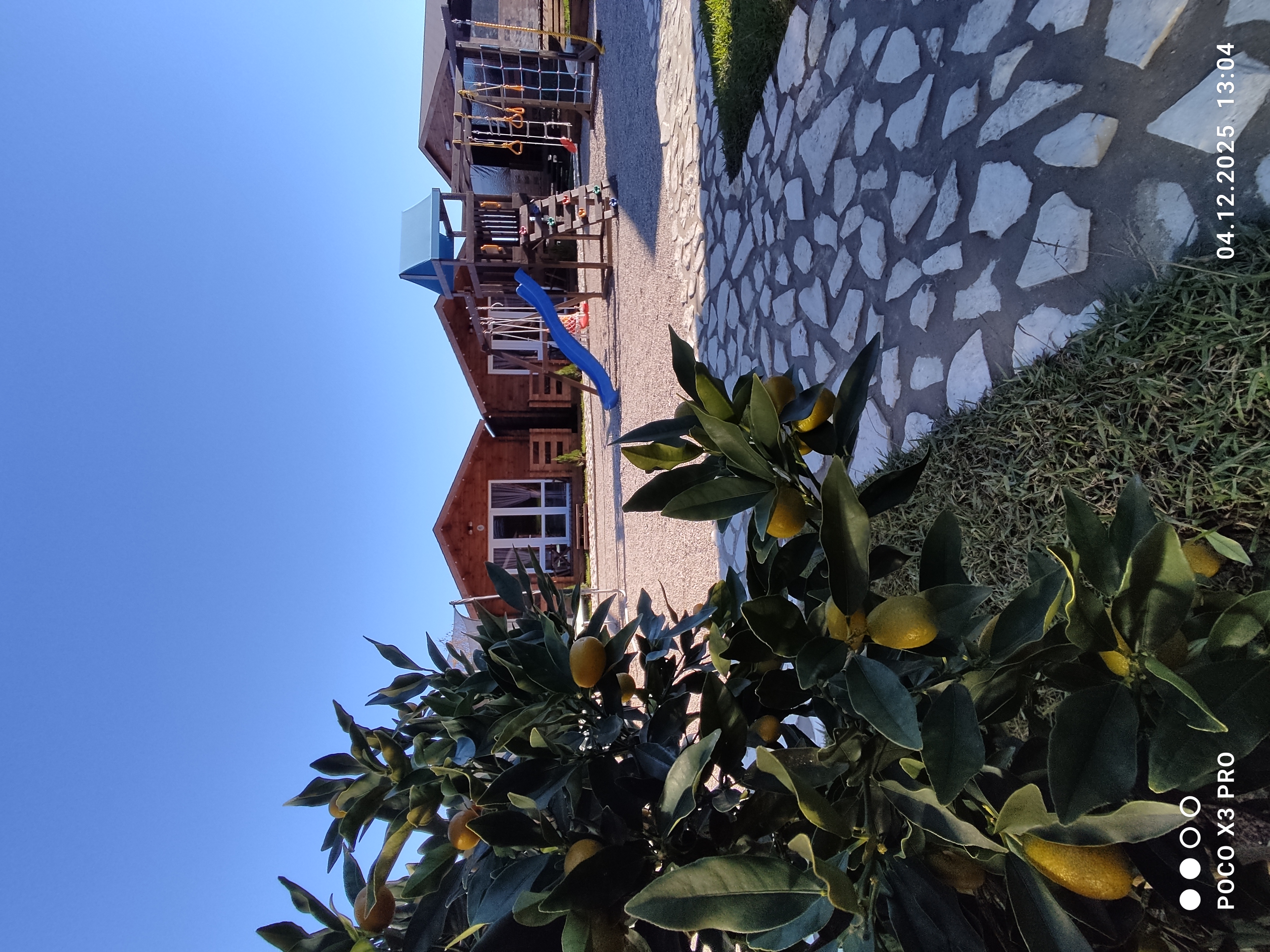 Гостевой комплекс Лазурь, Гудаута — фото 3