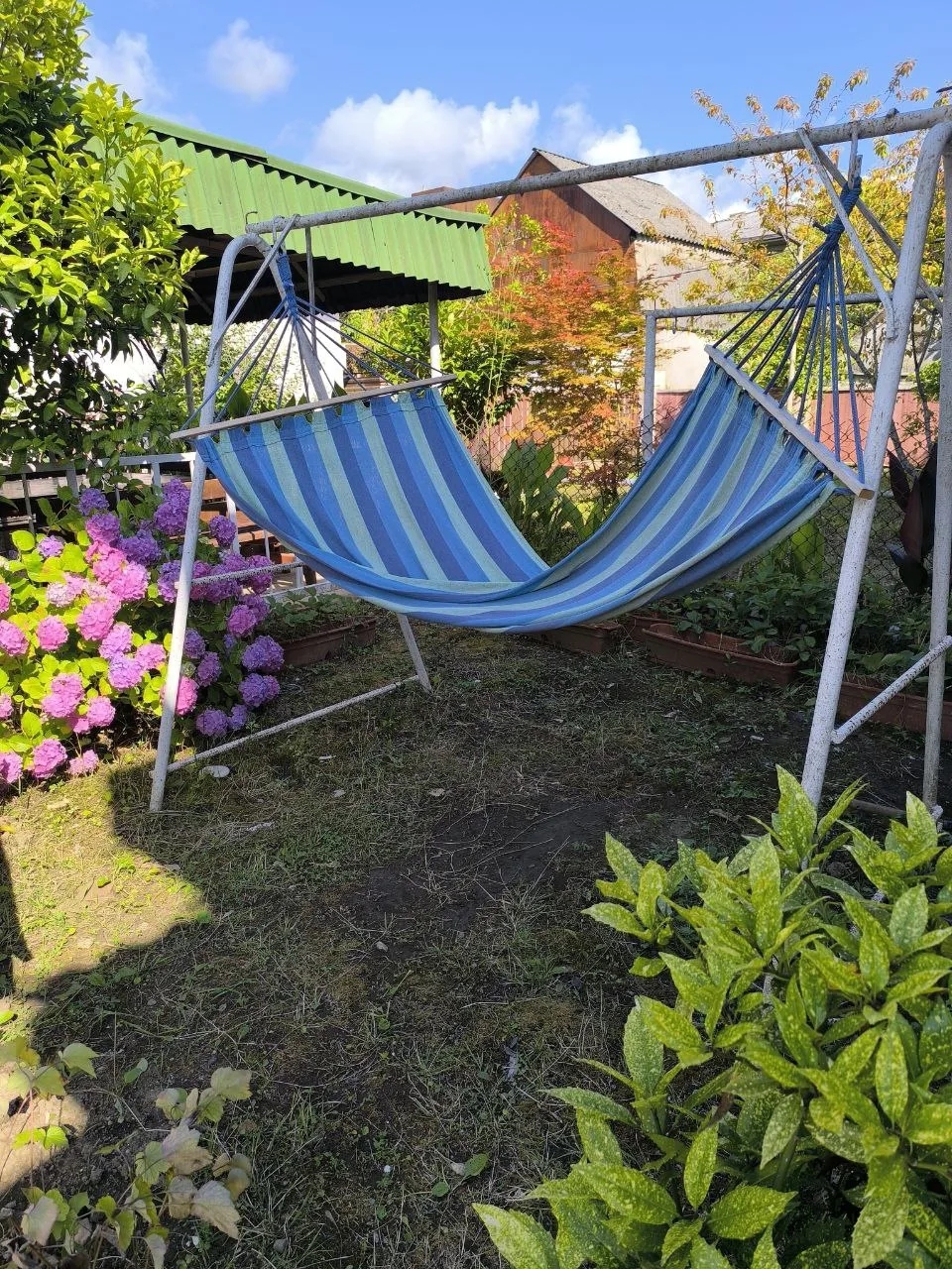 Мандаринка, Очамчыра — фото 16