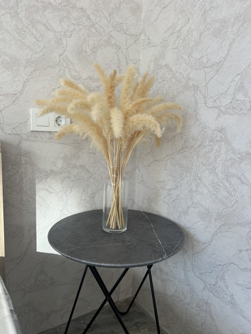 Атмосфера Гагра, Гагра — фото 3