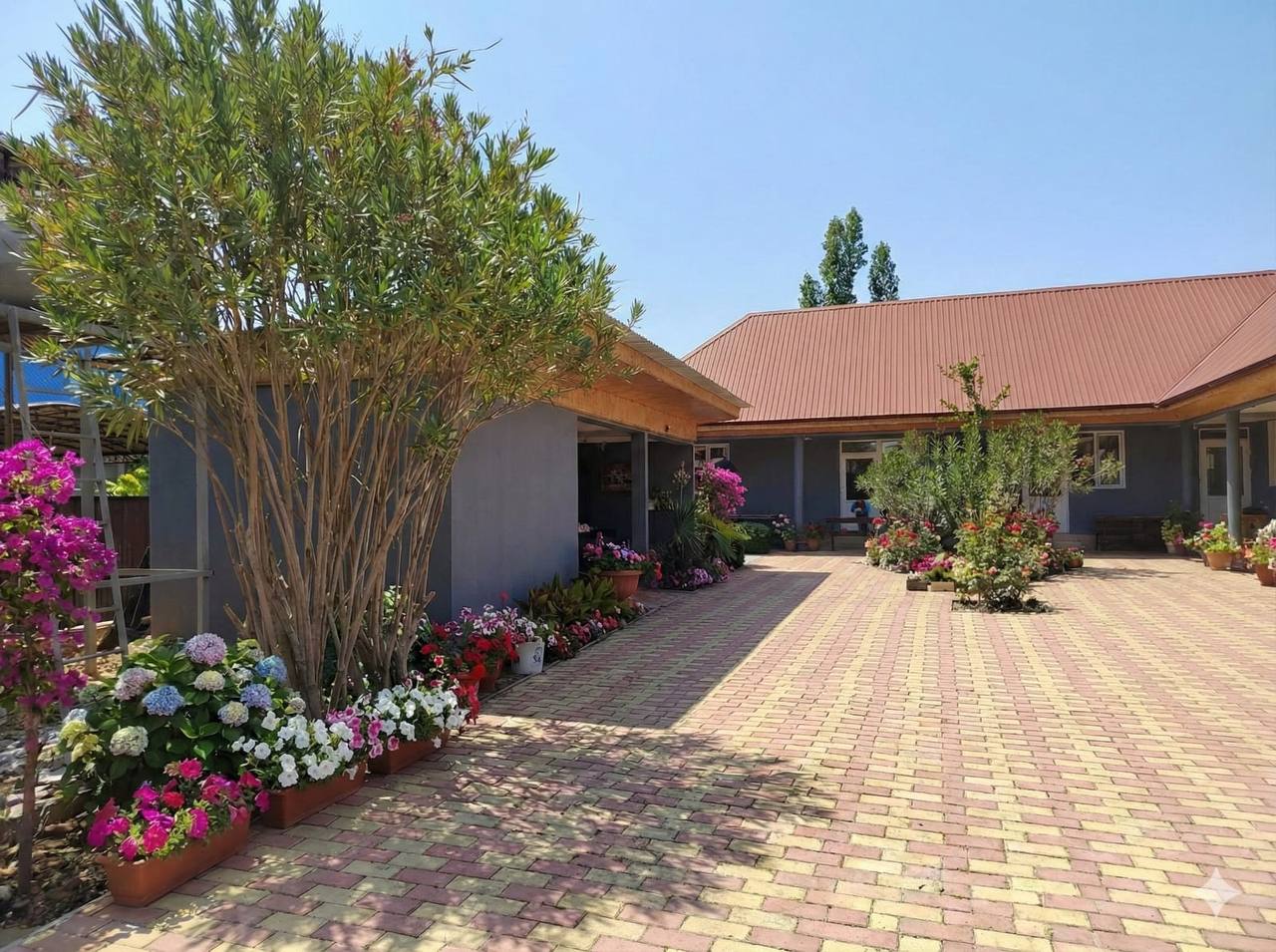 Графит Хаус, Цандрипш — фото 35