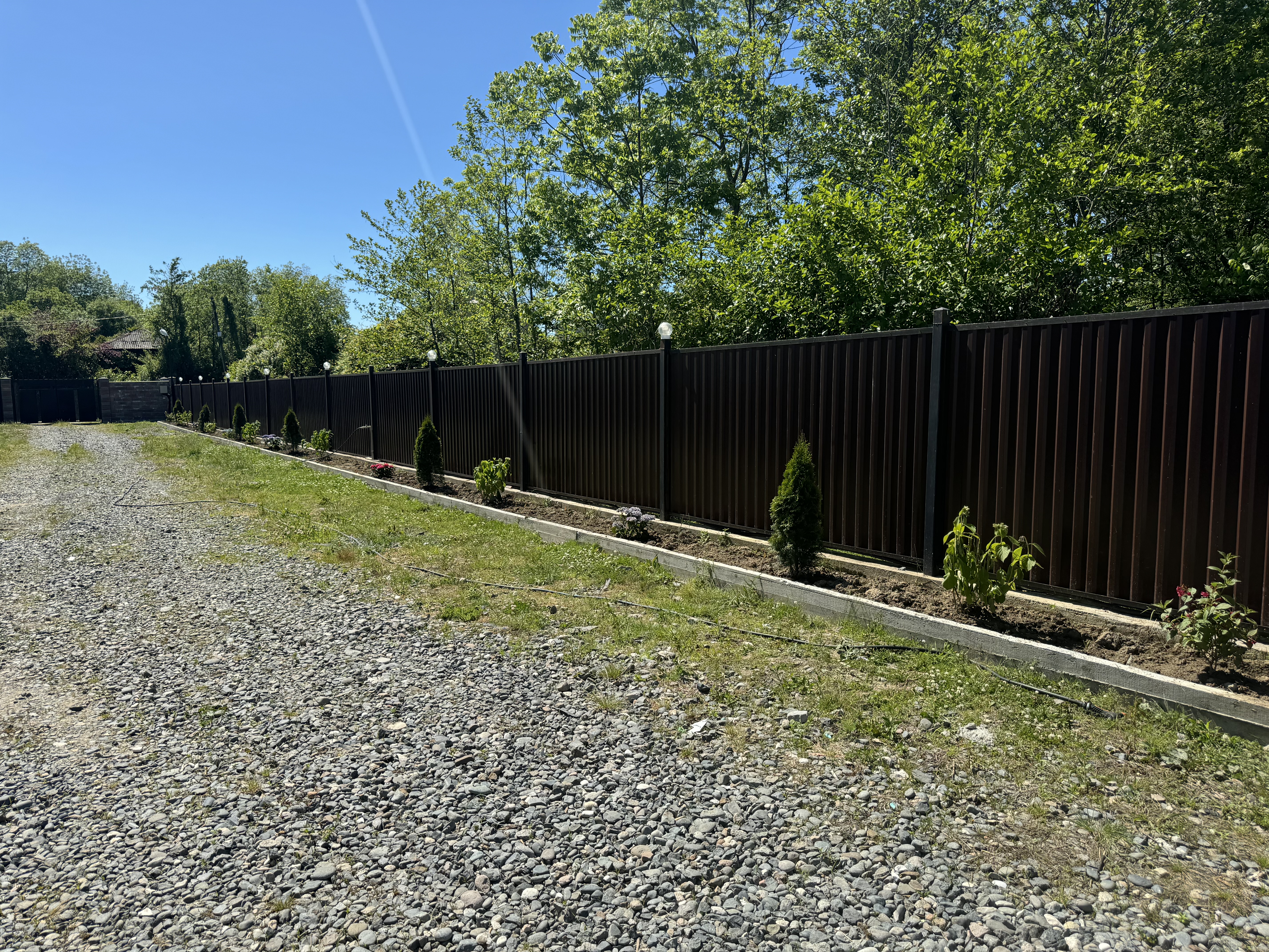 Гостевой дом Дельфин, Агудзера — фото 4