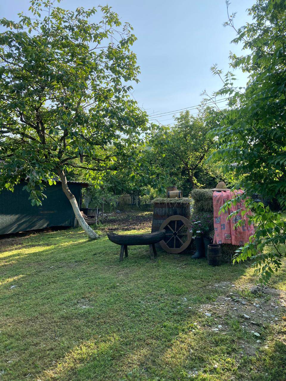 ЭКО-Глэмпинг БУНГАЛО, Гагра — фото 54