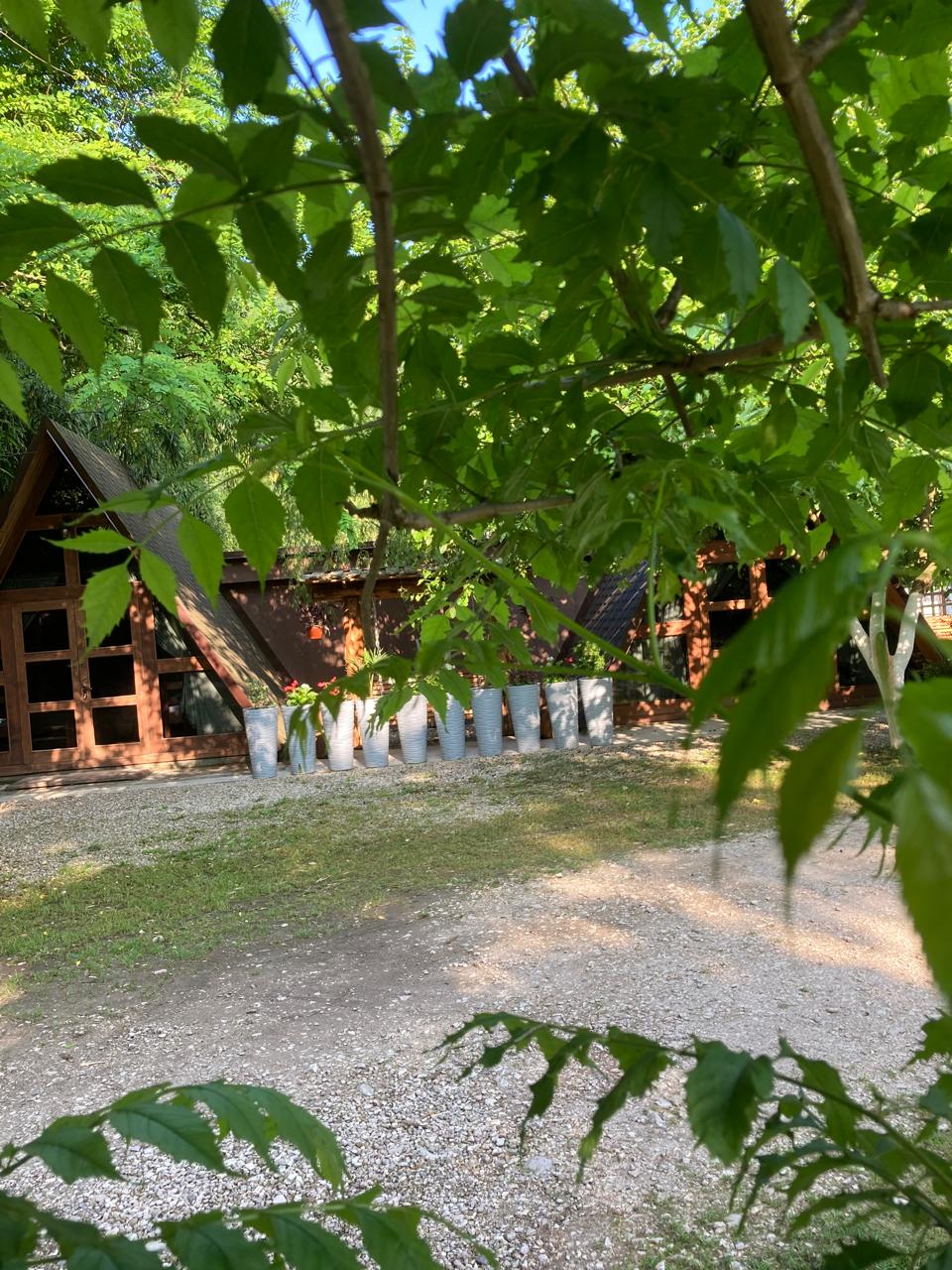 ЭКО-Глэмпинг БУНГАЛО, Гагра — фото 57