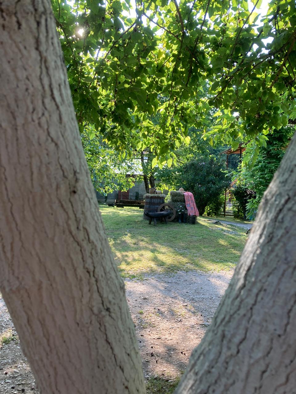 ЭКО-Глэмпинг БУНГАЛО, Гагра — фото 25