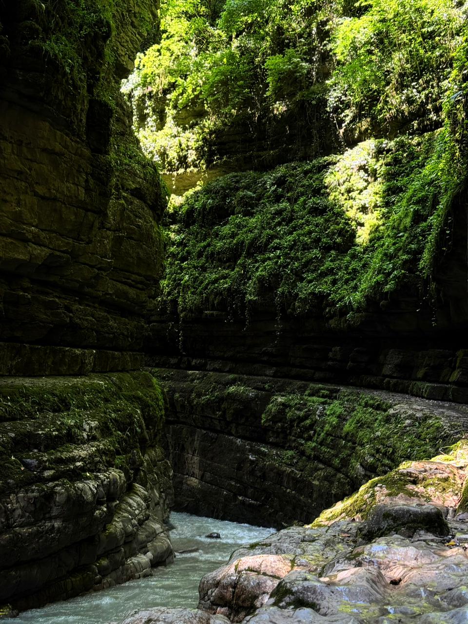 ЭКО-Глэмпинг БУНГАЛО, Гагра — фото 29