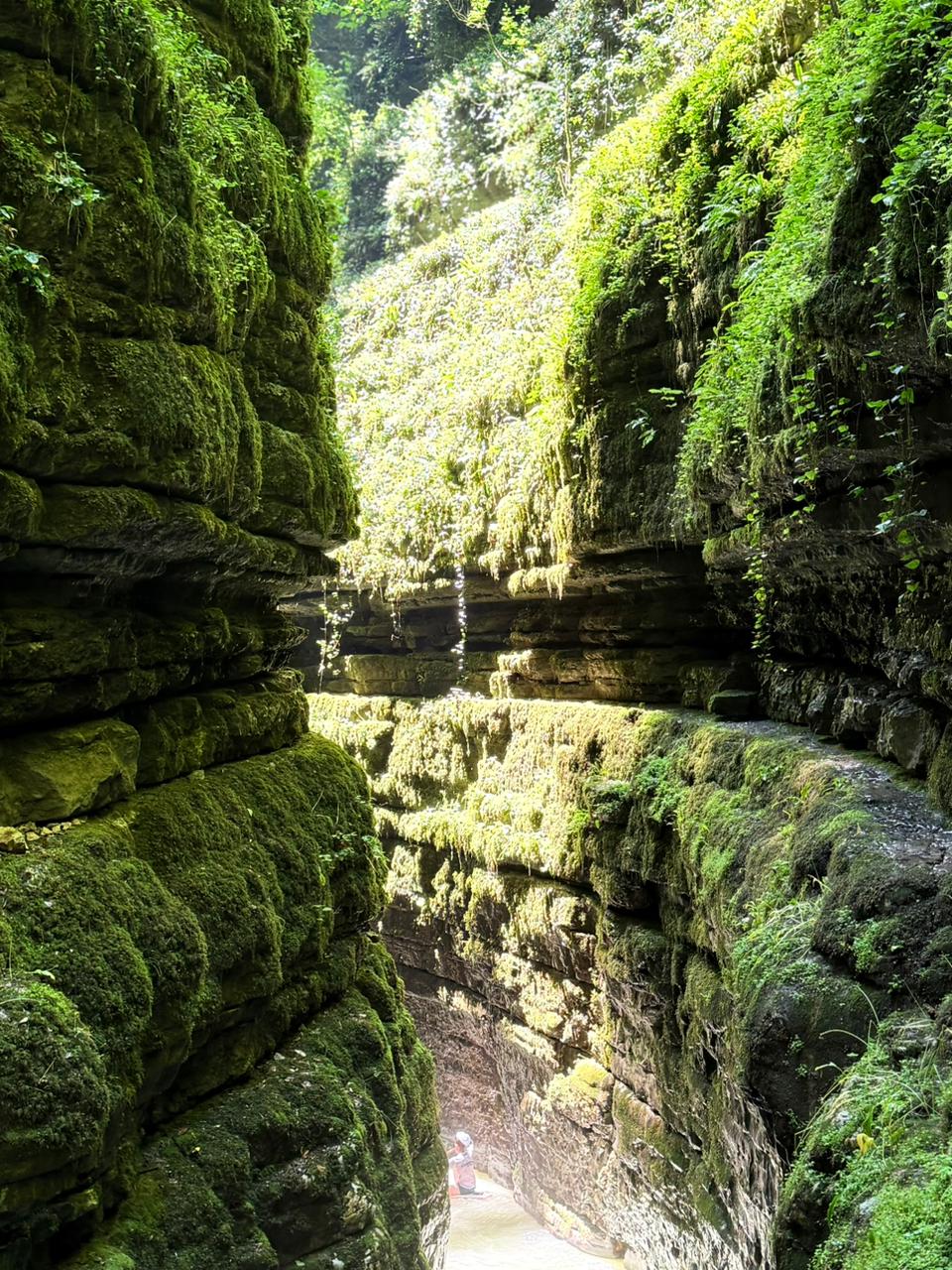 ЭКО-Глэмпинг БУНГАЛО, Гагра — фото 63