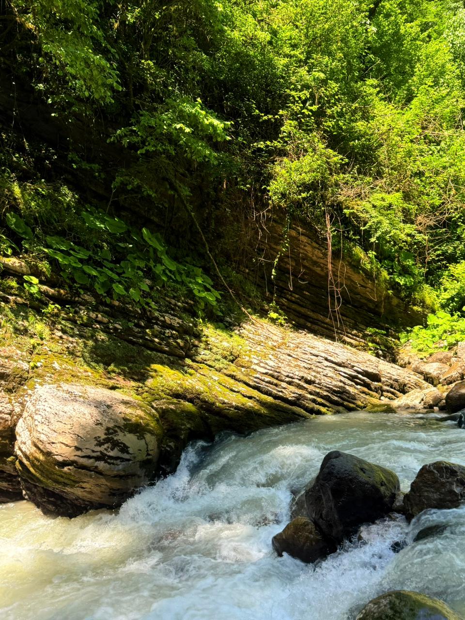 ЭКО-Глэмпинг БУНГАЛО, Гагра — фото 31