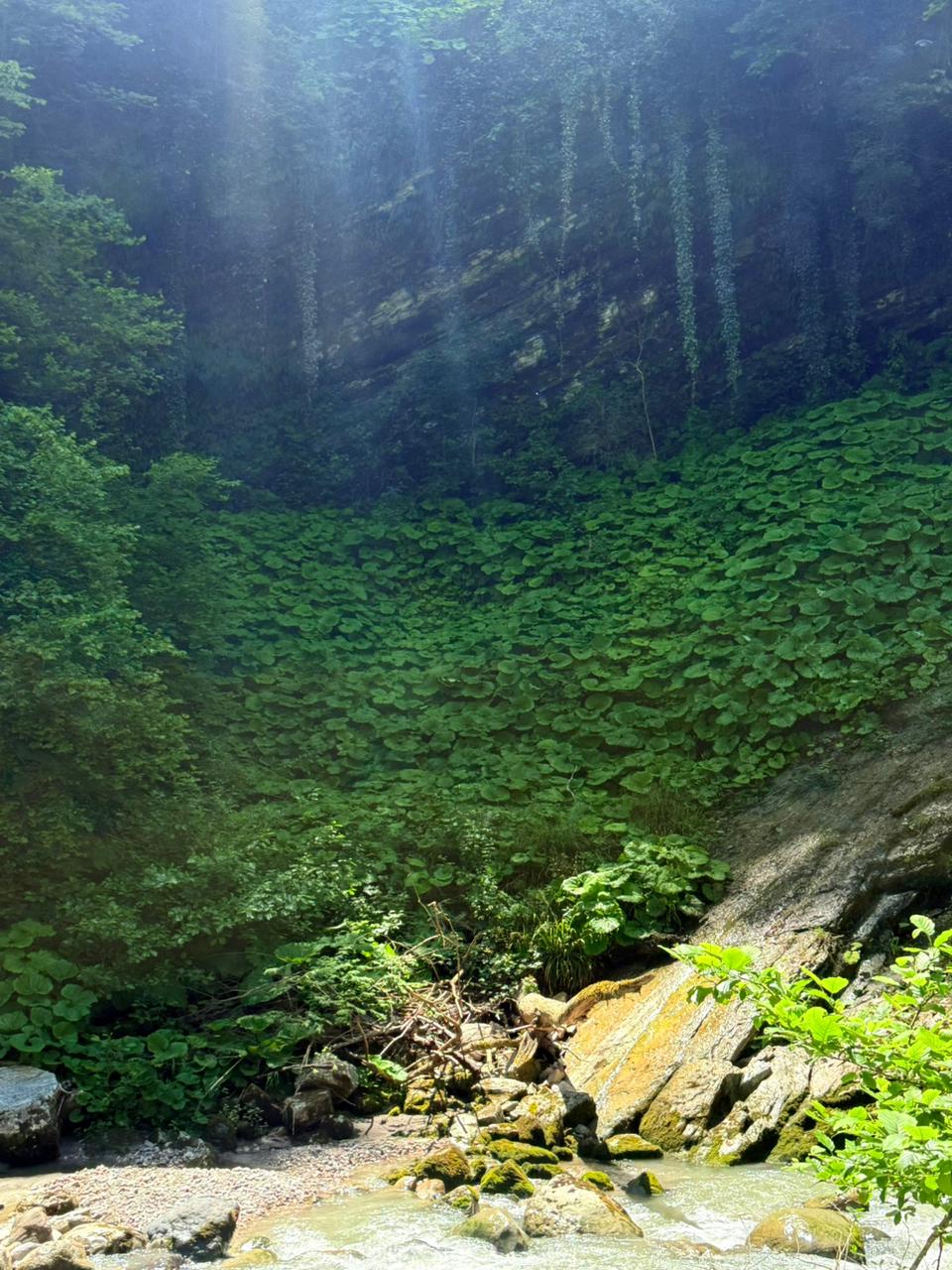 ЭКО-Глэмпинг БУНГАЛО, Гагра — фото 30