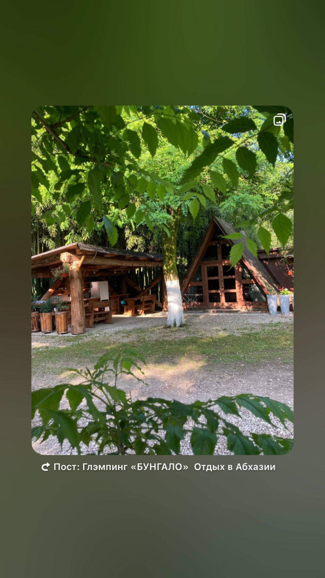ЭКО-Глэмпинг БУНГАЛО, Гагра — фото 64