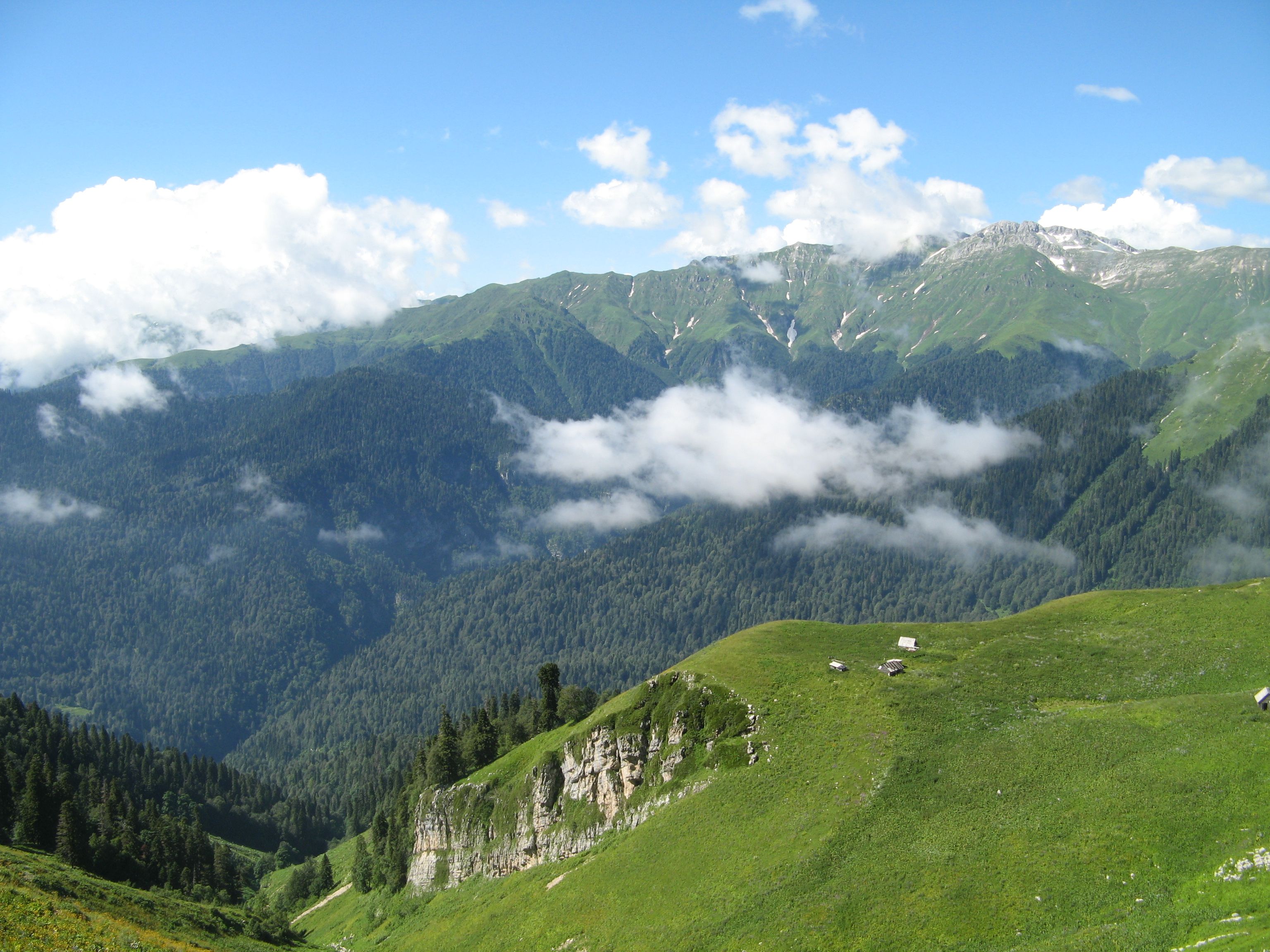 ЭКО-Глэмпинг БУНГАЛО, Гагра — фото 48