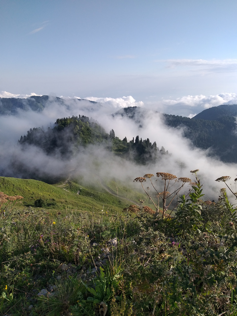 ЭКО-Глэмпинг БУНГАЛО, Гагра — фото 34