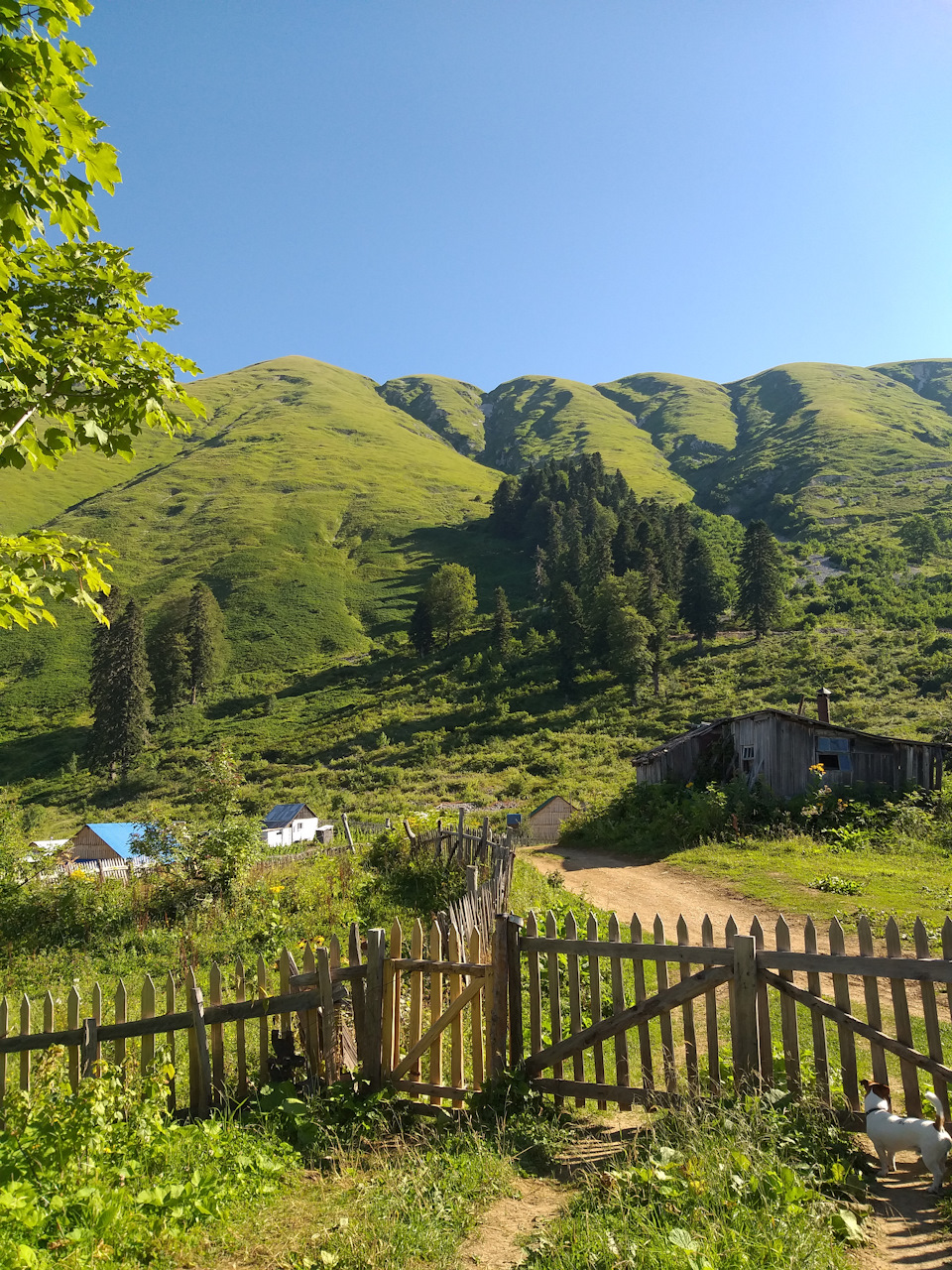 ЭКО-Глэмпинг БУНГАЛО, Гагра — фото 66