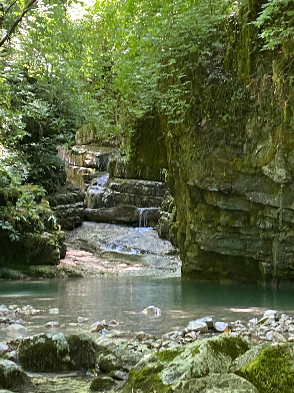 ЭКО-Глэмпинг БУНГАЛО, Гагра — фото 35