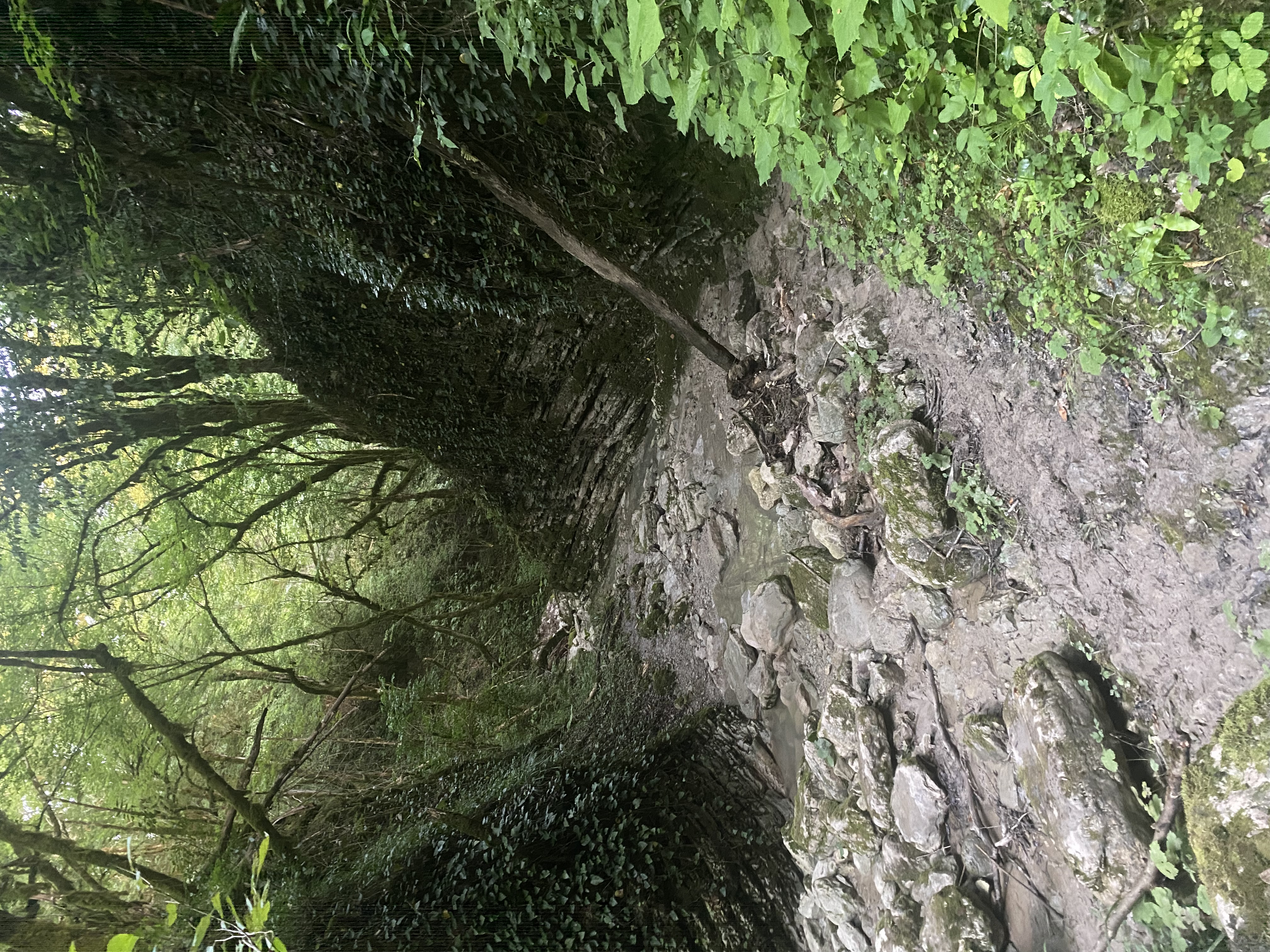 ЭКО-Глэмпинг БУНГАЛО, Гагра — фото 21