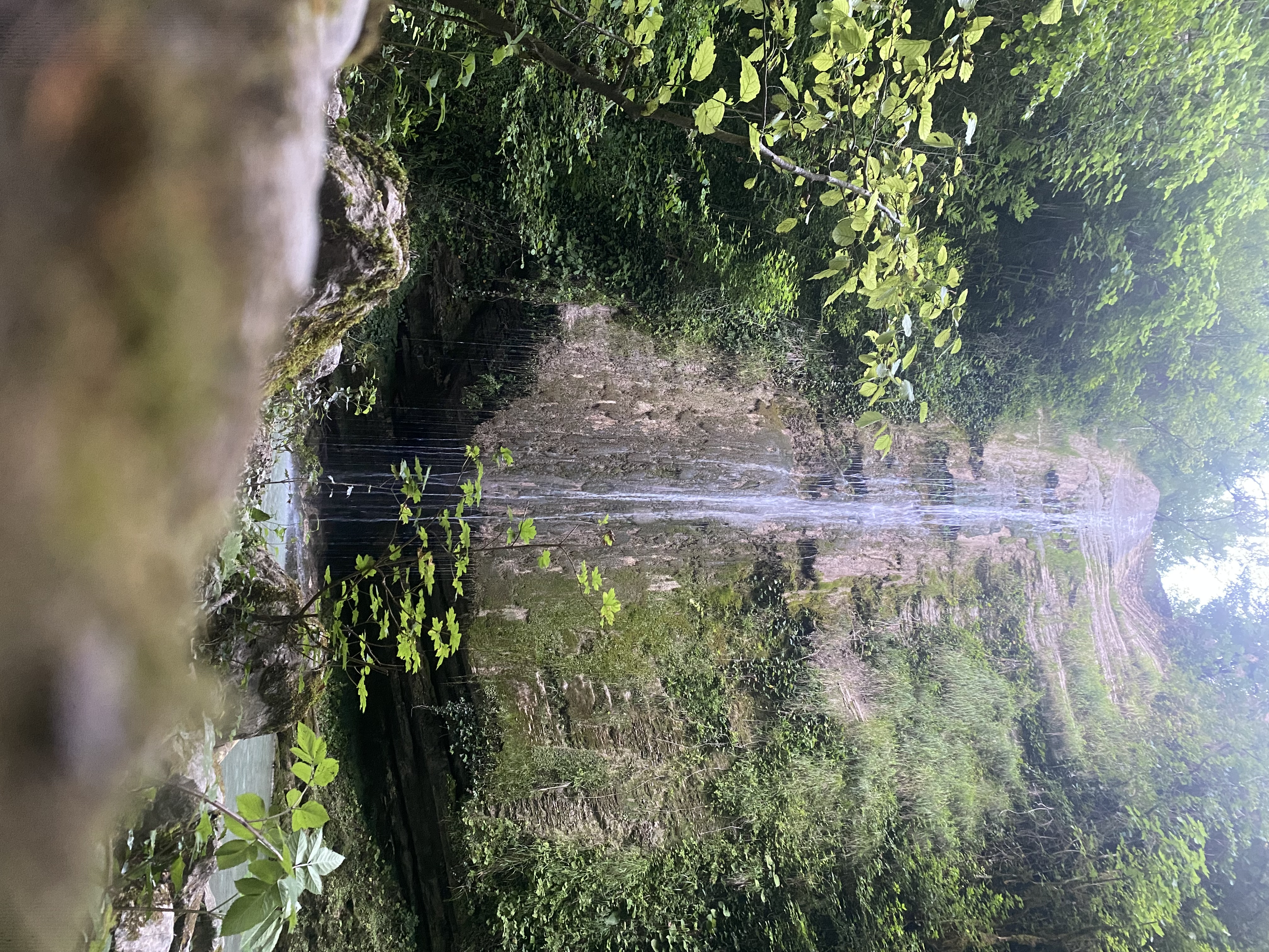 ЭКО-Глэмпинг БУНГАЛО, Гагра — фото 22