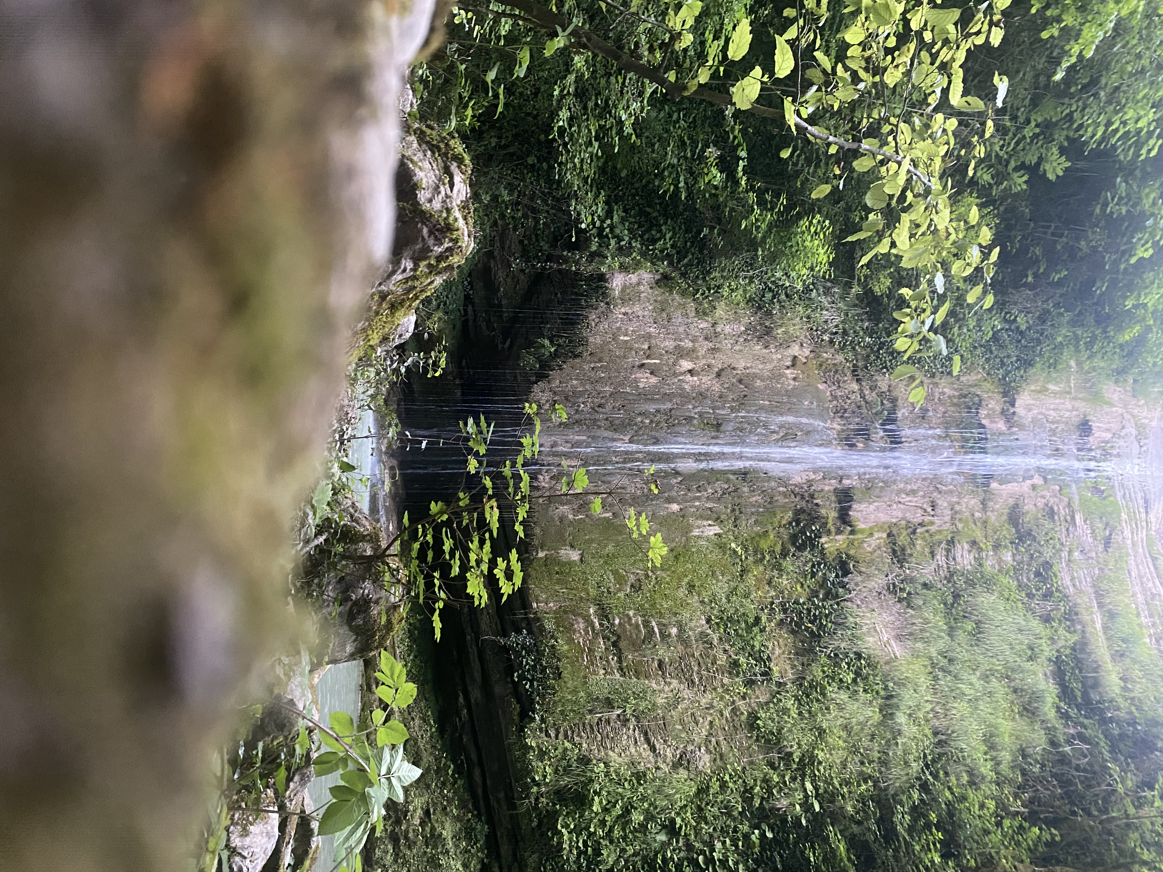 ЭКО-Глэмпинг БУНГАЛО, Гагра — фото 24