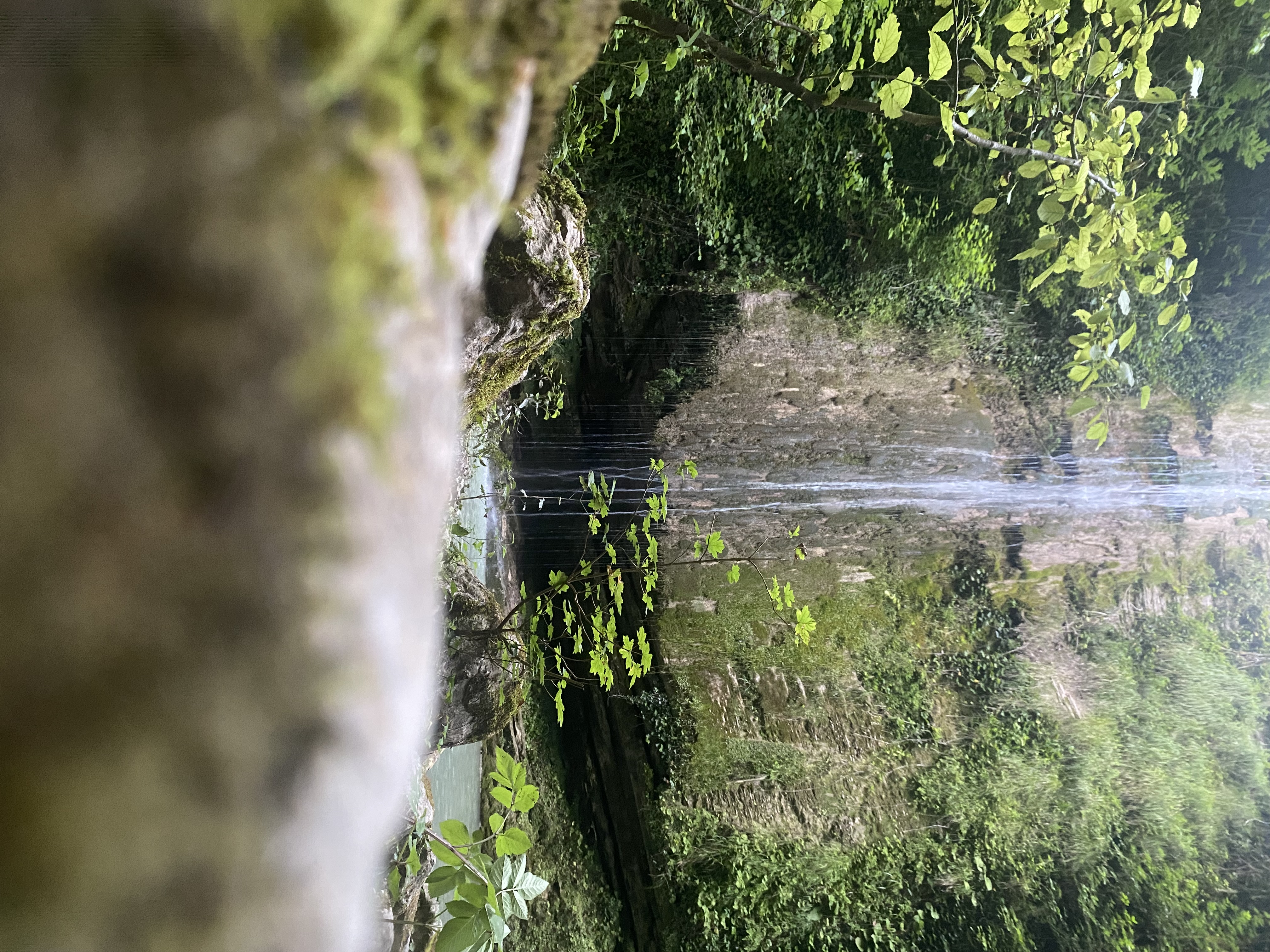 ЭКО-Глэмпинг БУНГАЛО, Гагра — фото 36