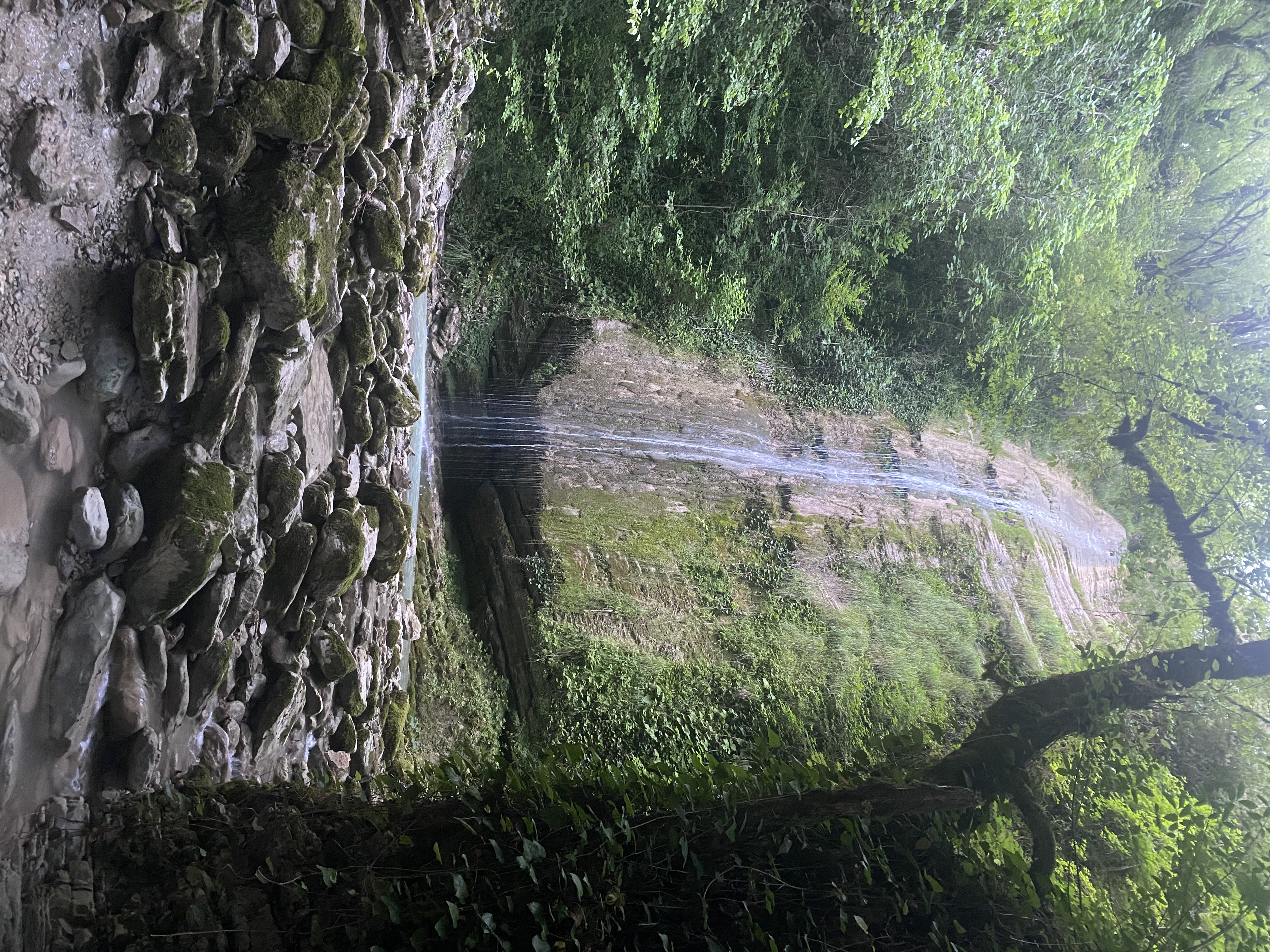 ЭКО-Глэмпинг БУНГАЛО, Гагра — фото 23