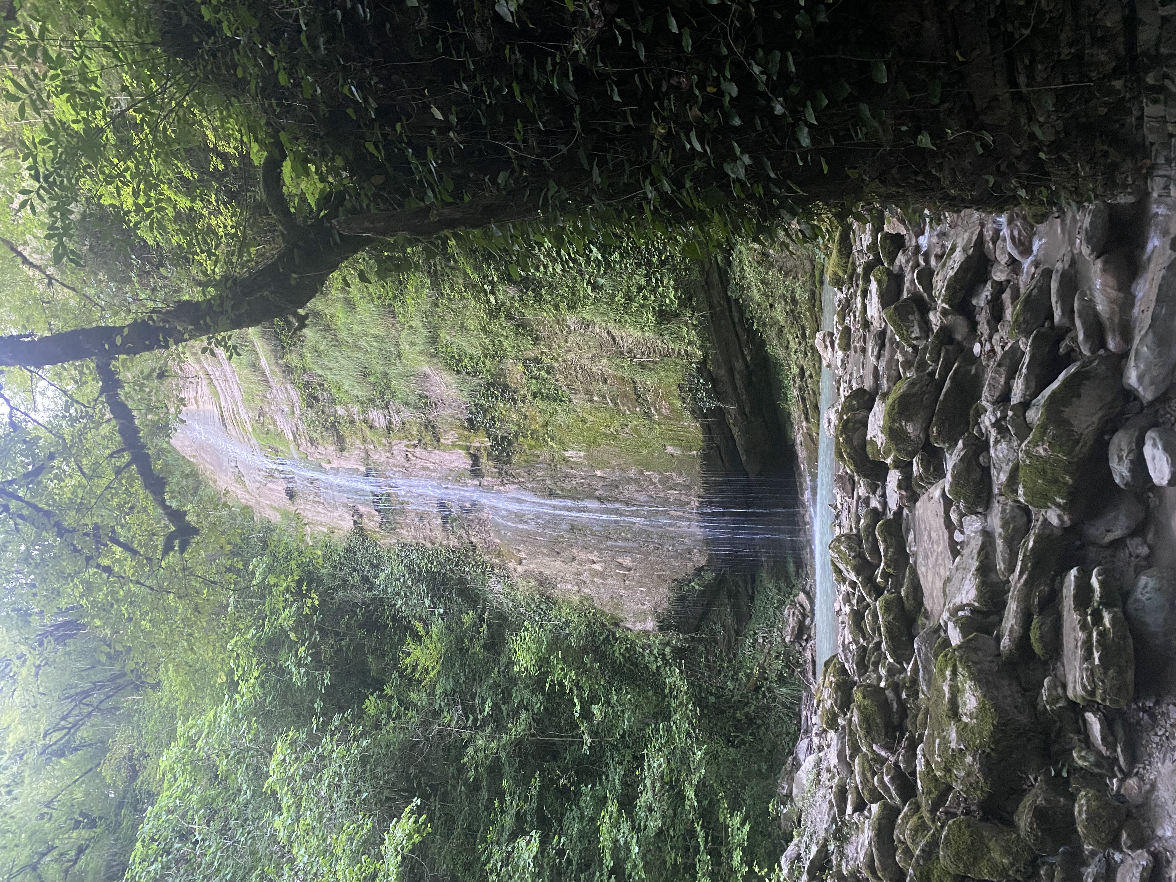 ЭКО-Глэмпинг БУНГАЛО, Гагра — фото 100