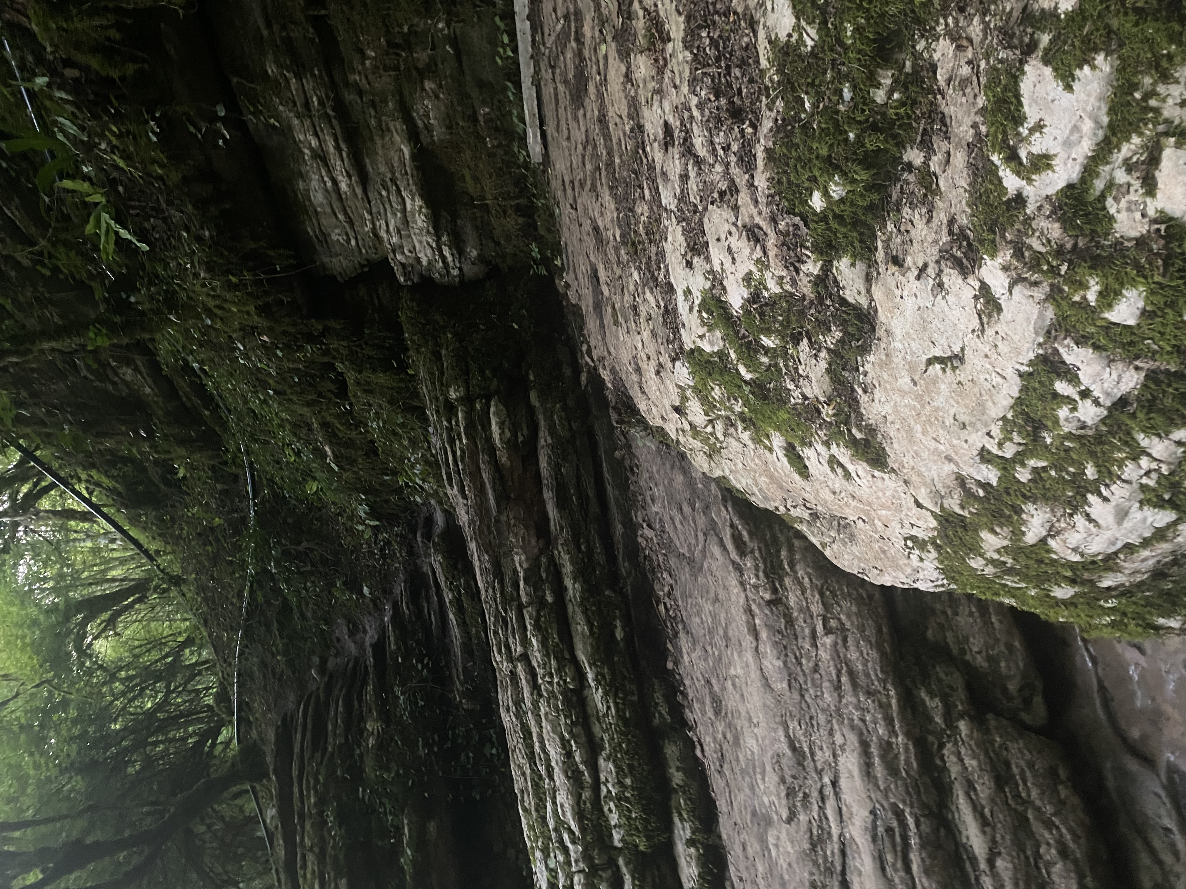 ЭКО-Глэмпинг БУНГАЛО, Гагра — фото 96