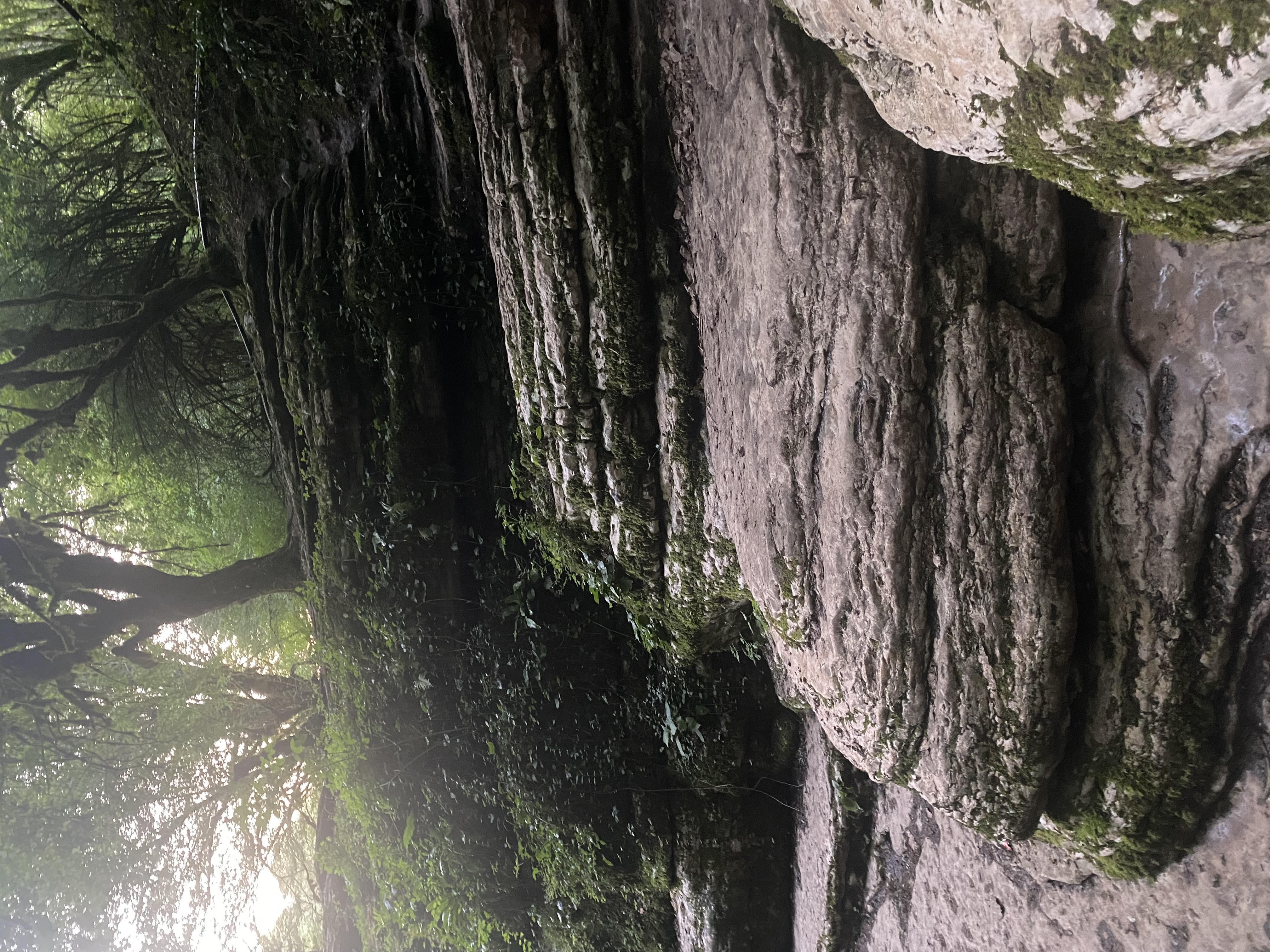 ЭКО-Глэмпинг БУНГАЛО, Гагра — фото 97