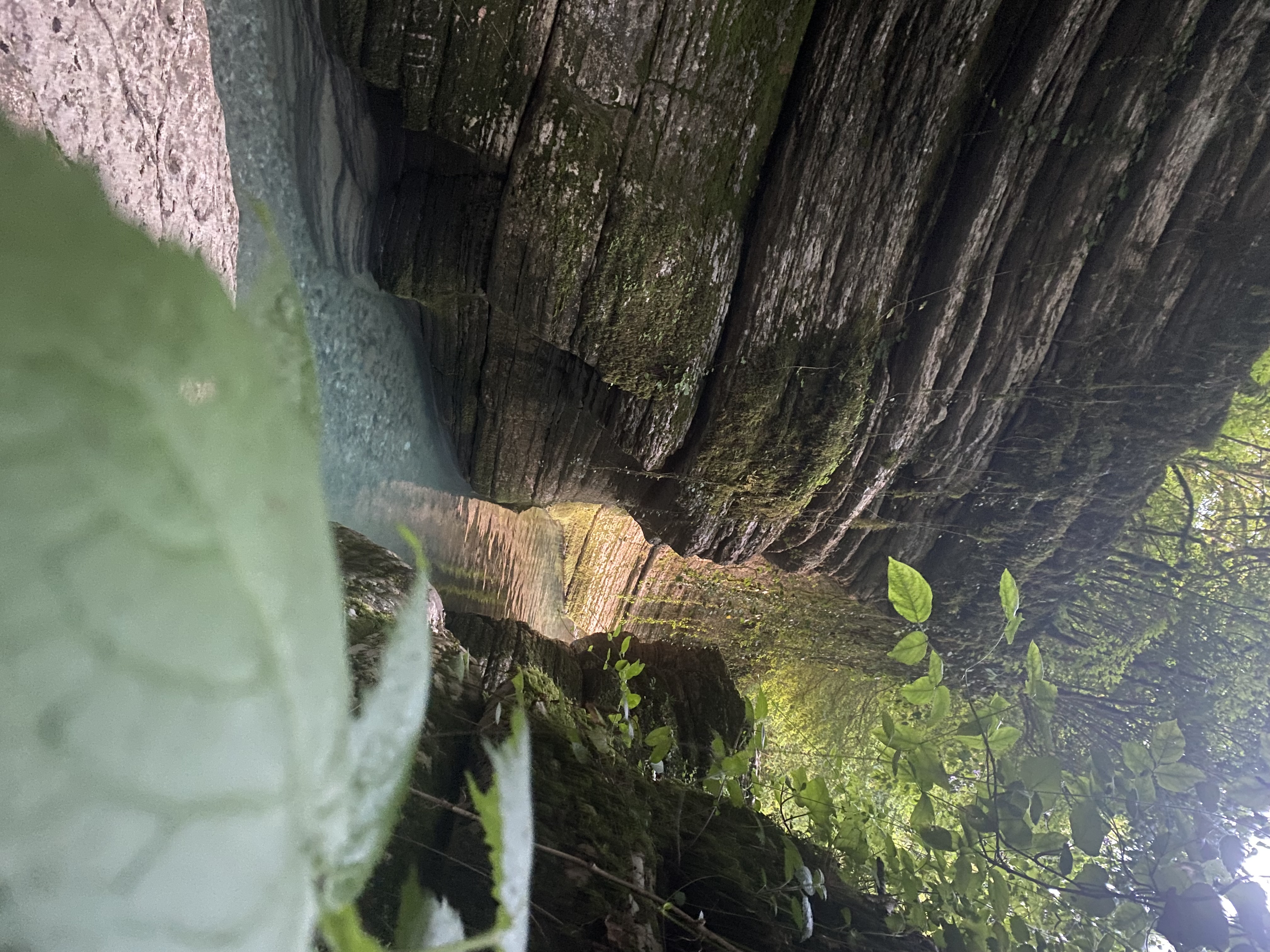 ЭКО-Глэмпинг БУНГАЛО, Гагра — фото 98